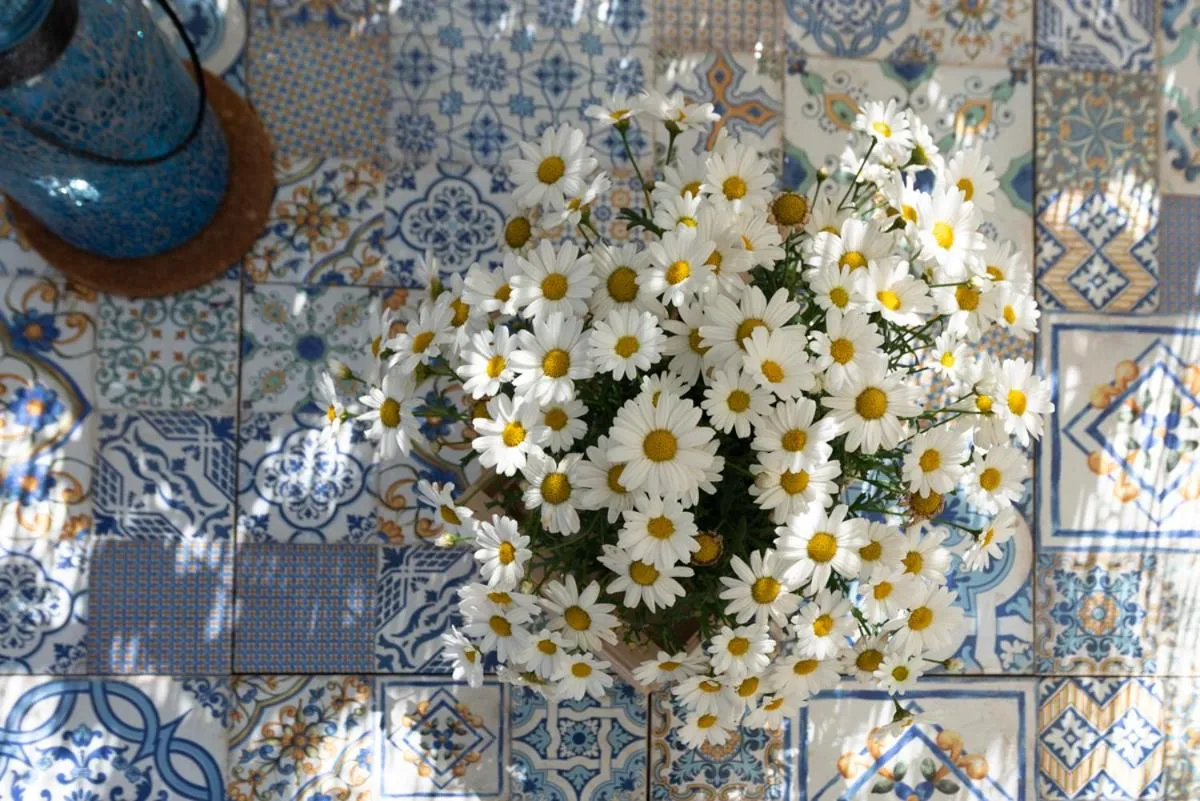 Other in Il fico nel Pozzo - YourPlace Abruzzo