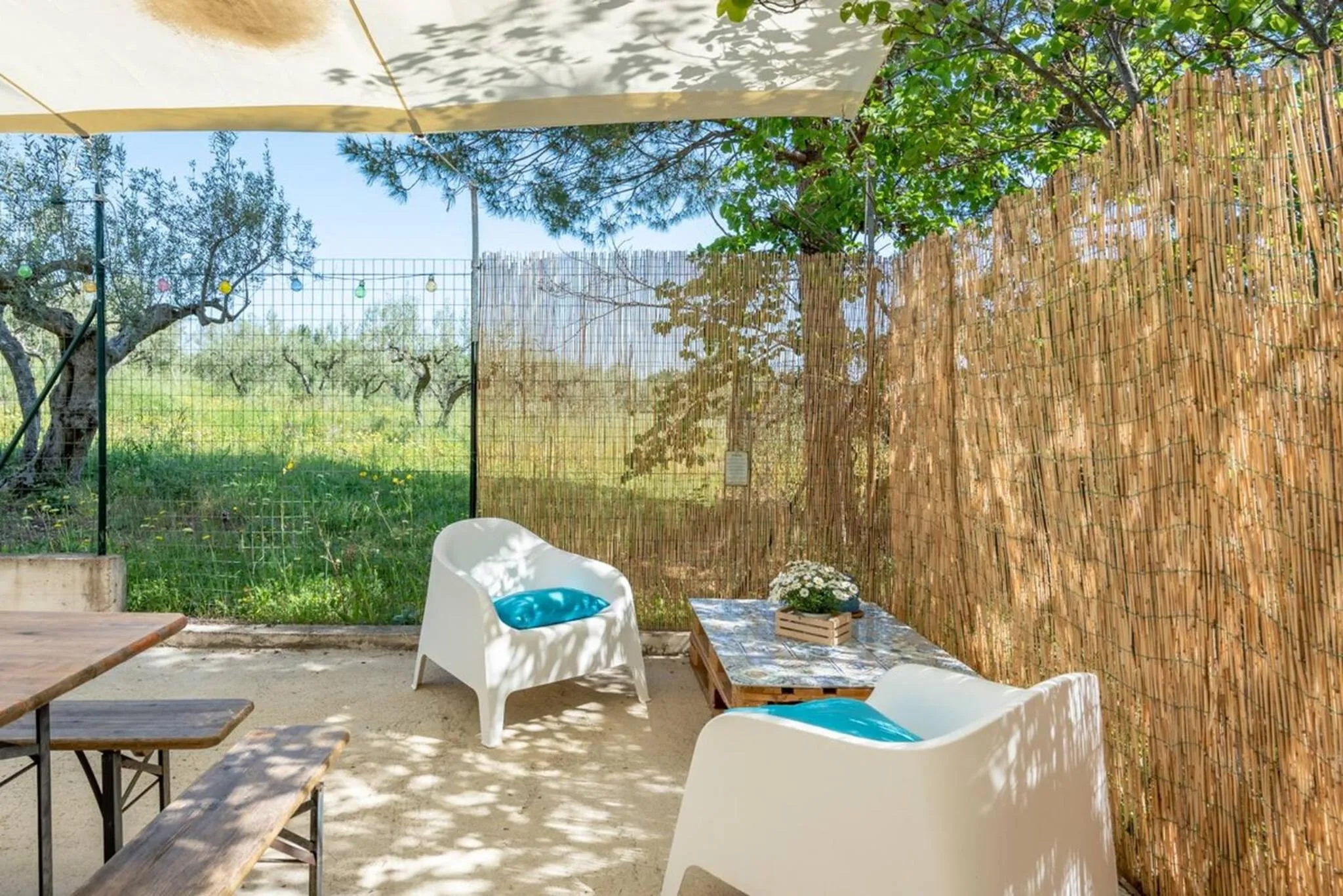 Off site in Il fico nel Pozzo - YourPlace Abruzzo