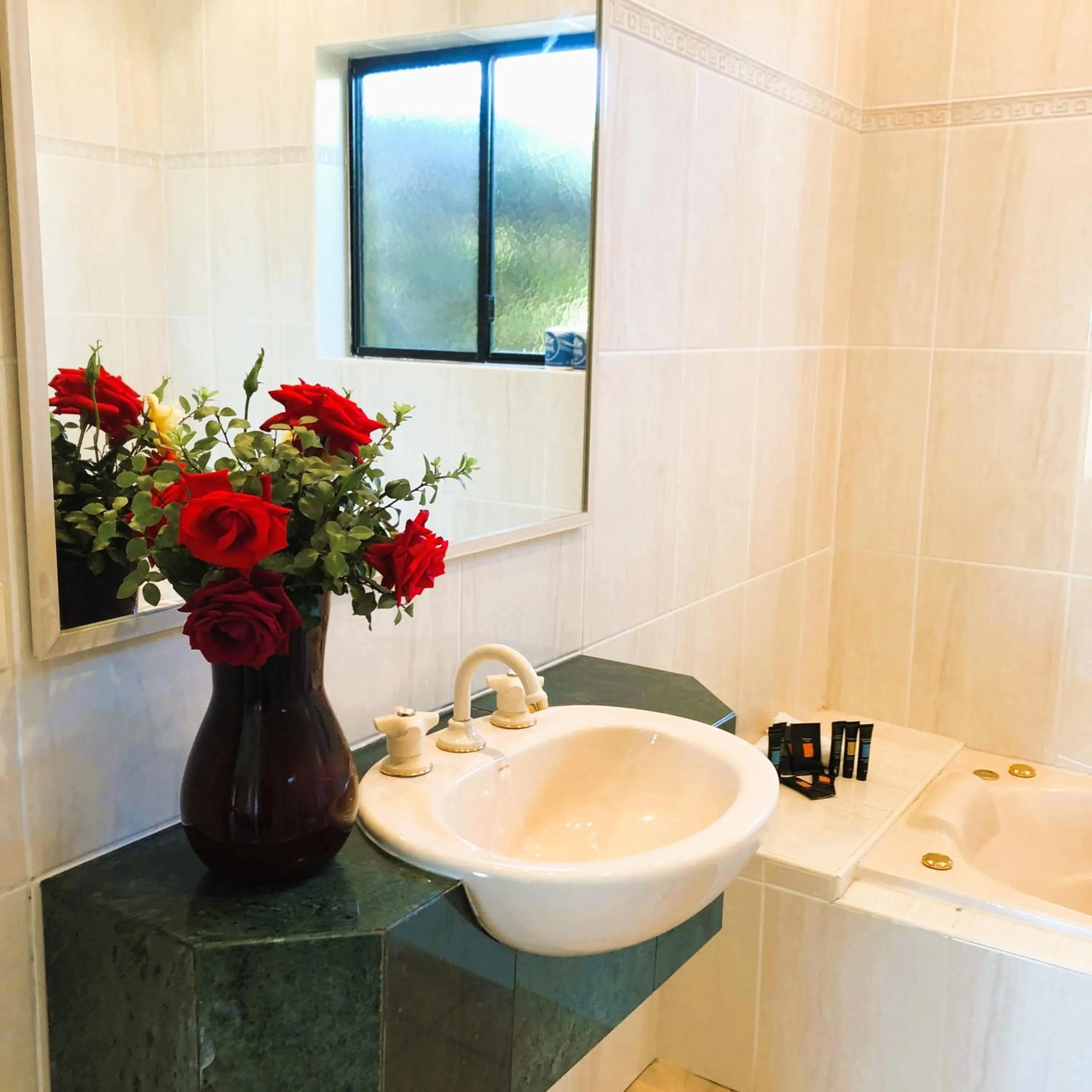 Bathroom in Turners Vineyard Motel