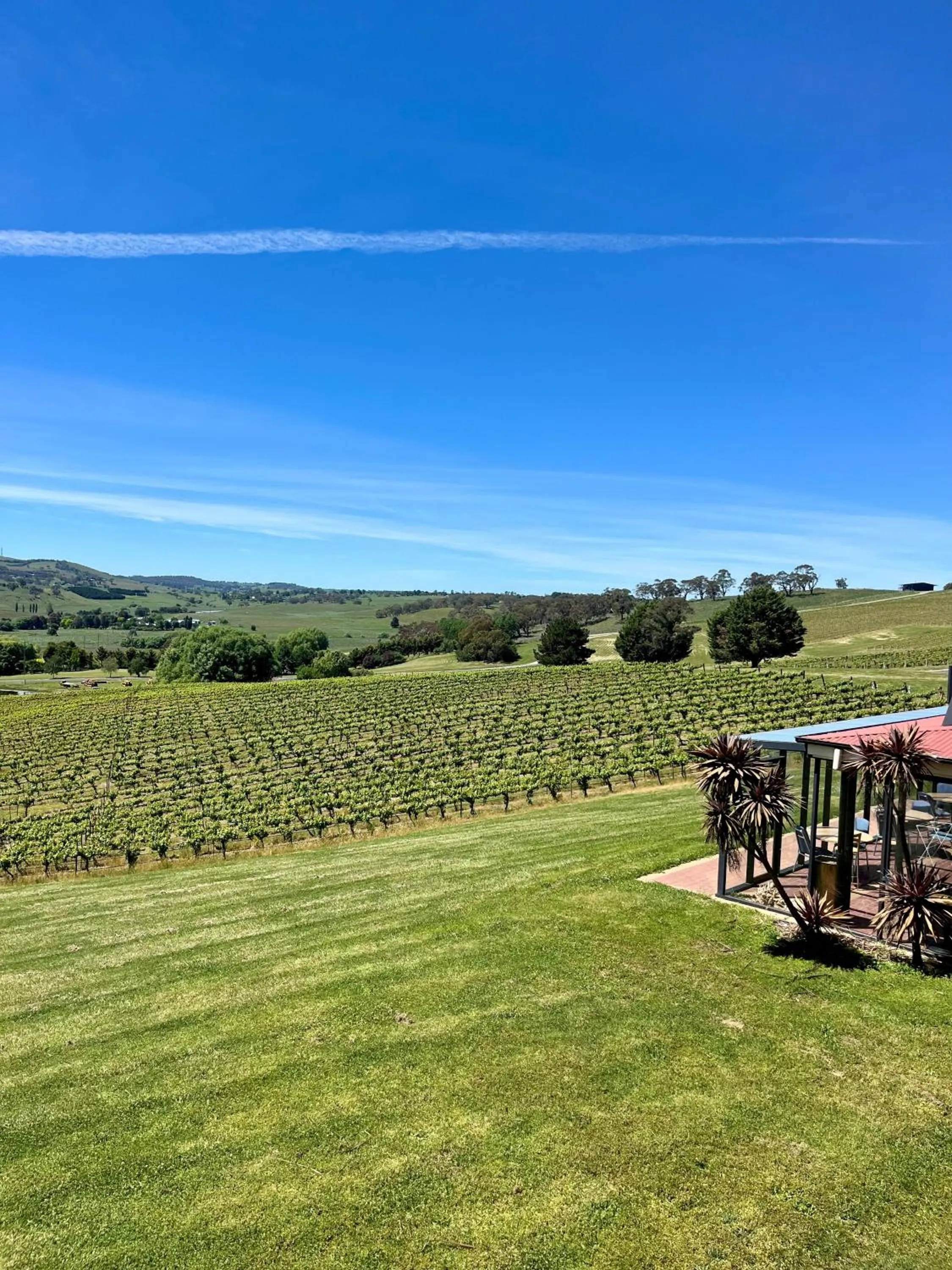 View (from property/room) in Turners Vineyard Motel