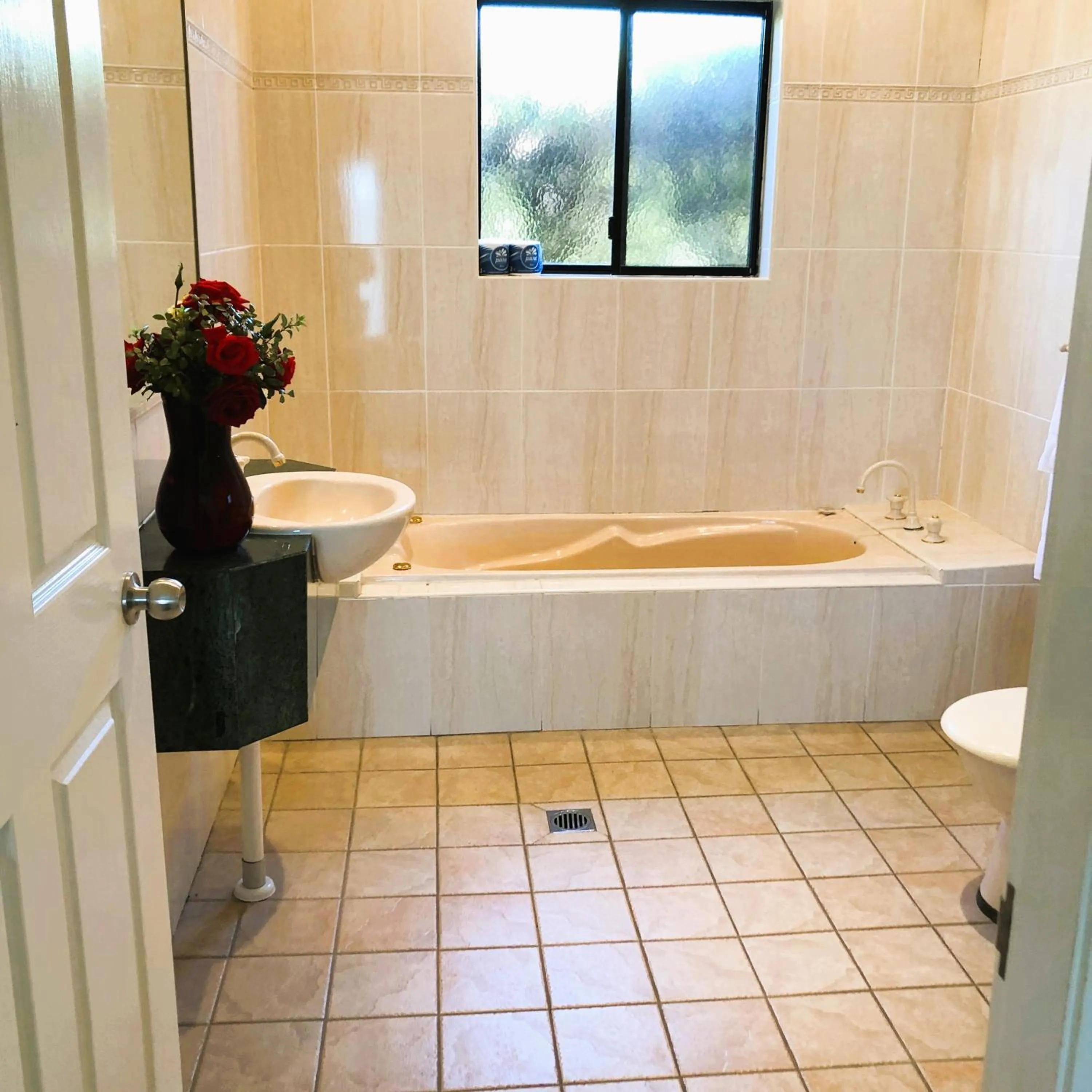 Bath in Turners Vineyard Motel