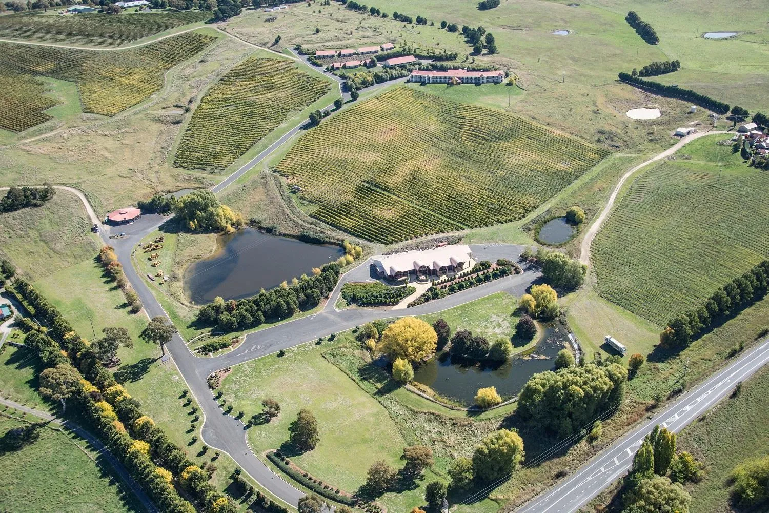 Text overlay in Turners Vineyard Motel