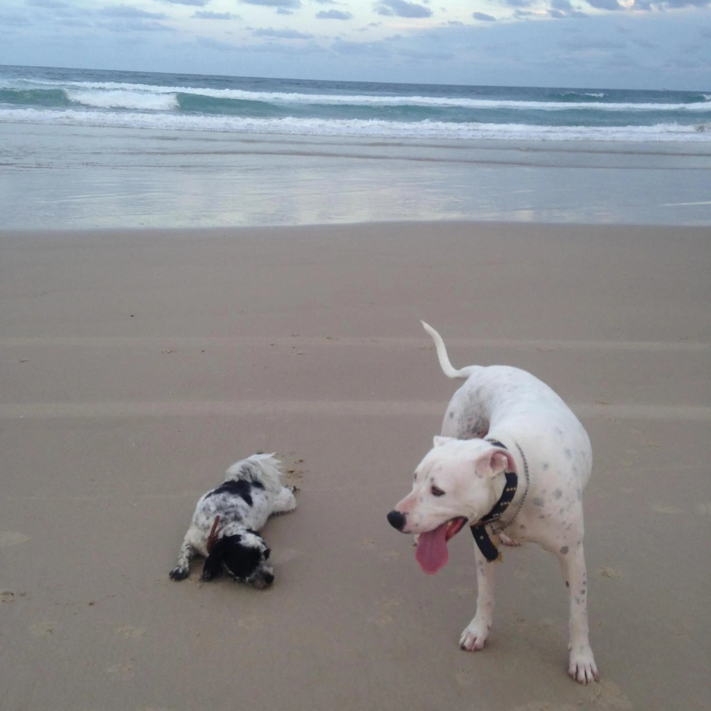 Nearby landmark in Clarence Head Caravan Park