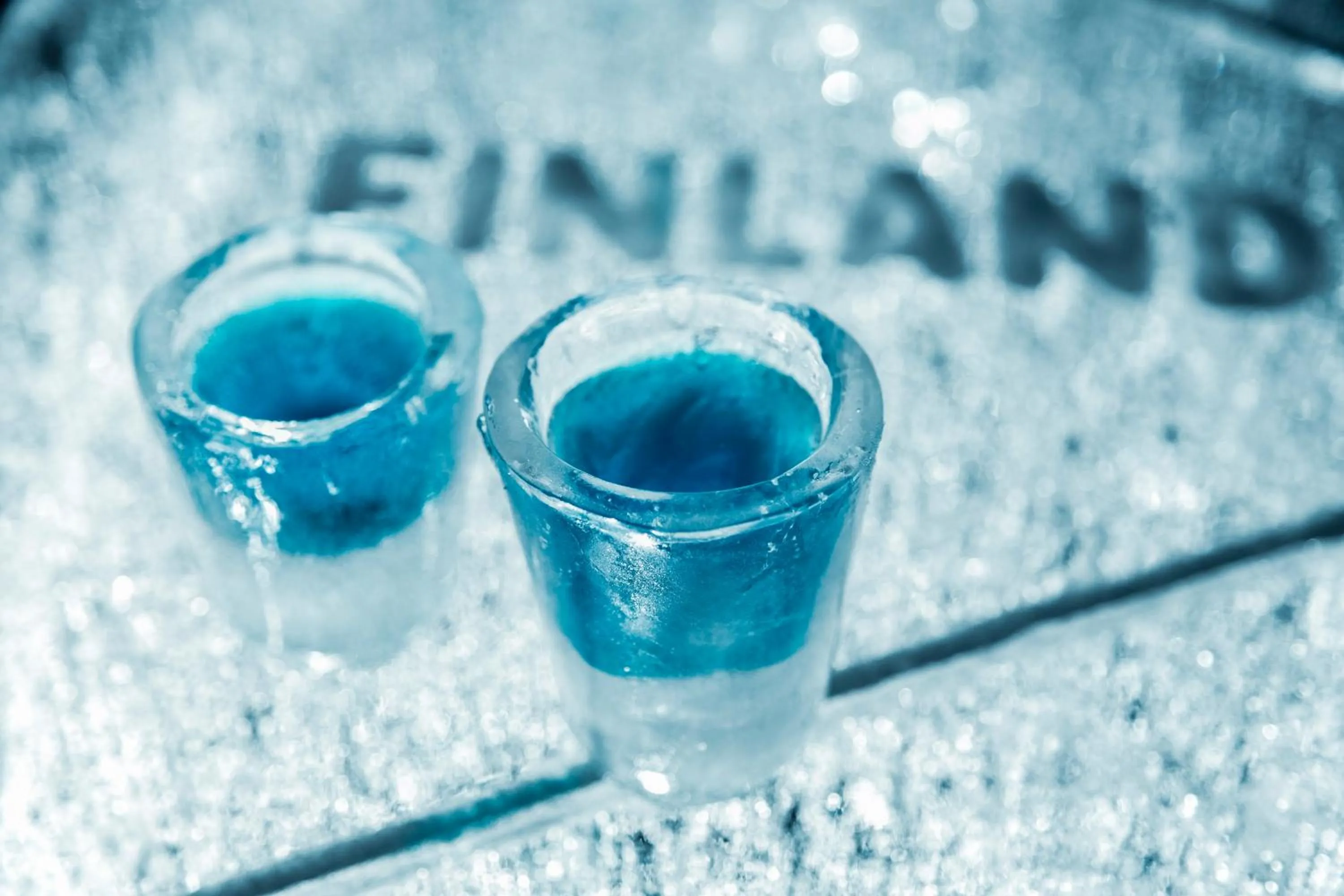 Drinks in Arctic SnowHotel & Glass Igloos