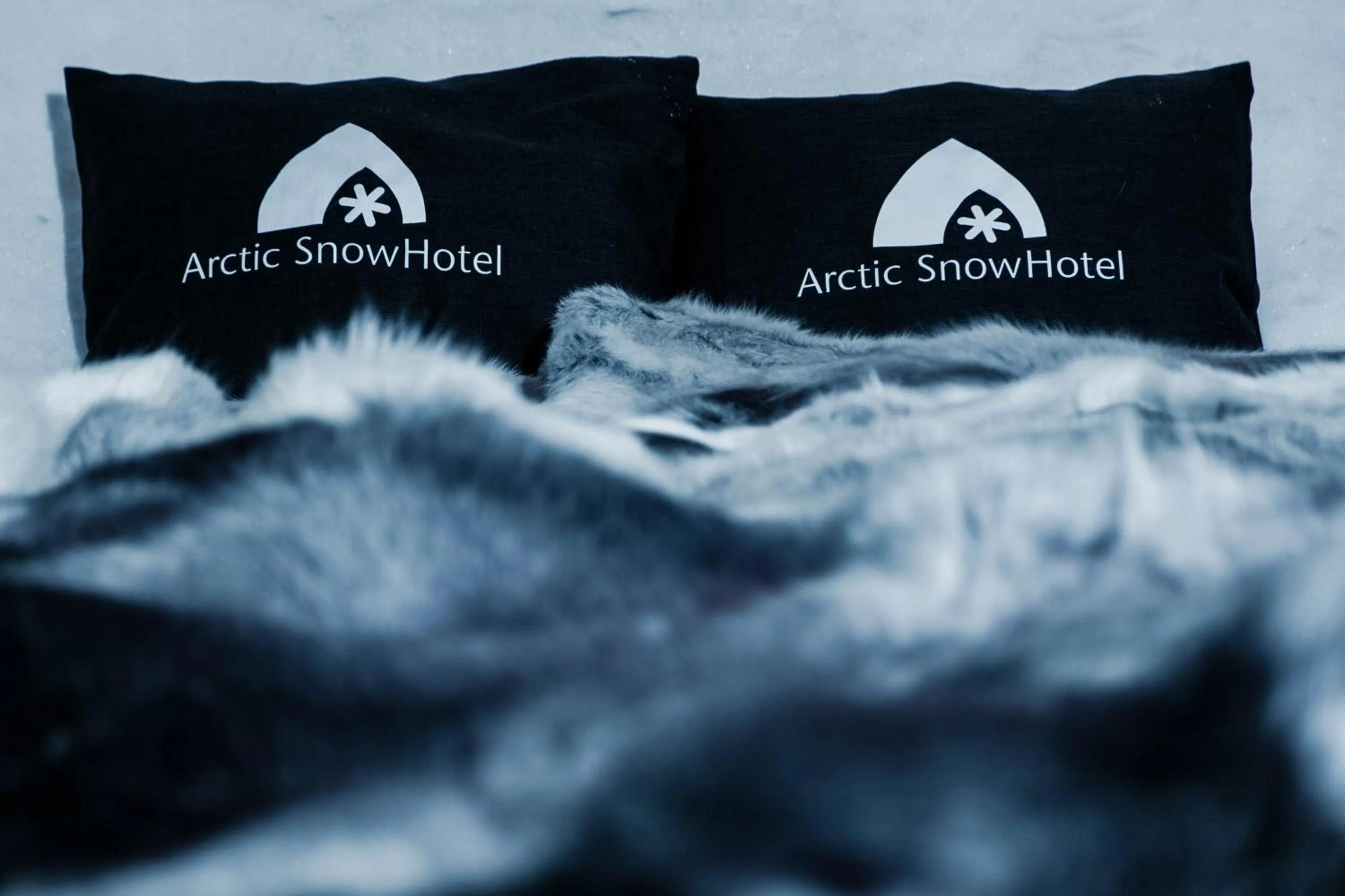 Bed in Arctic SnowHotel & Glass Igloos