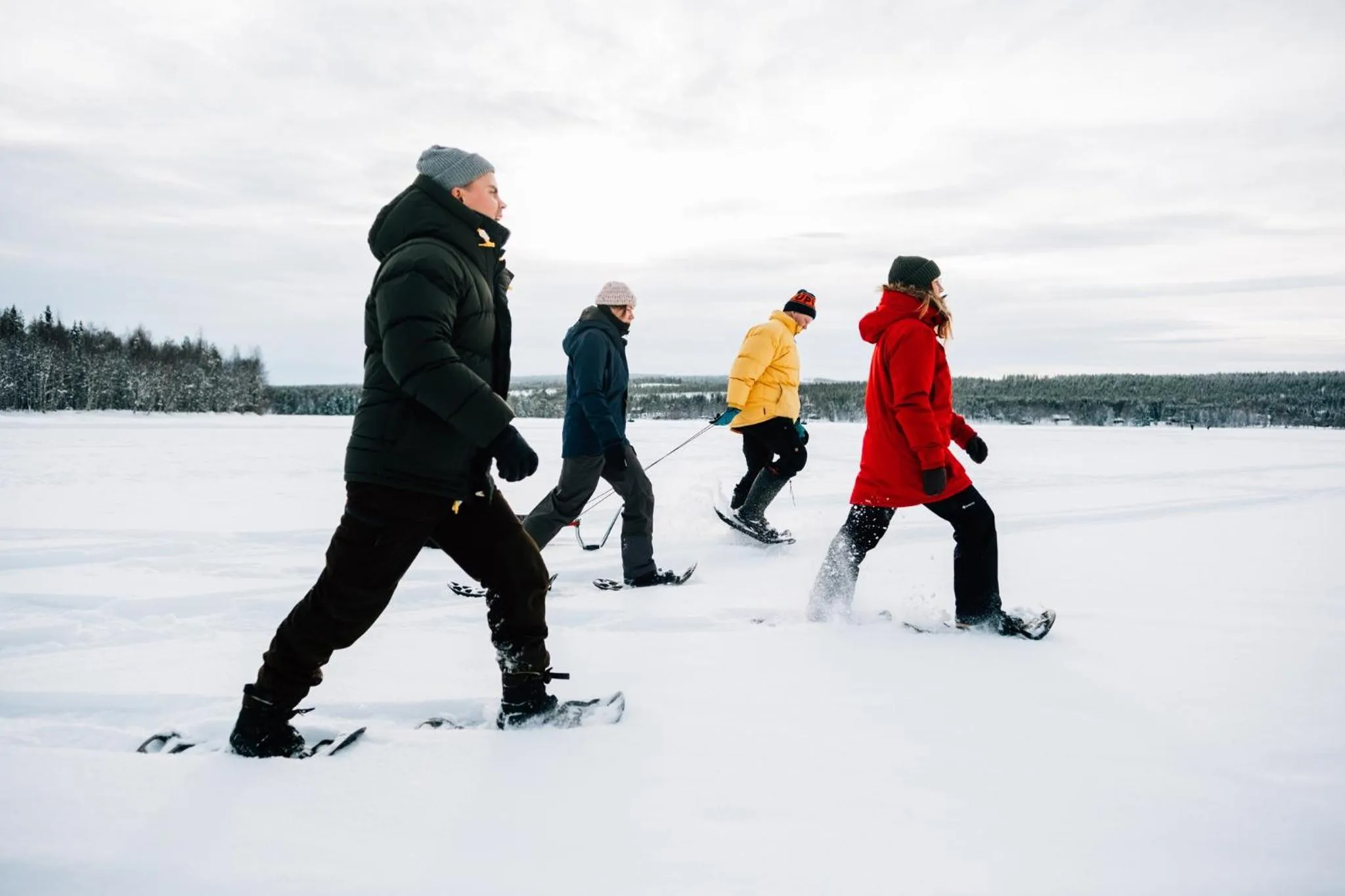 Activities in Arctic SnowHotel & Glass Igloos