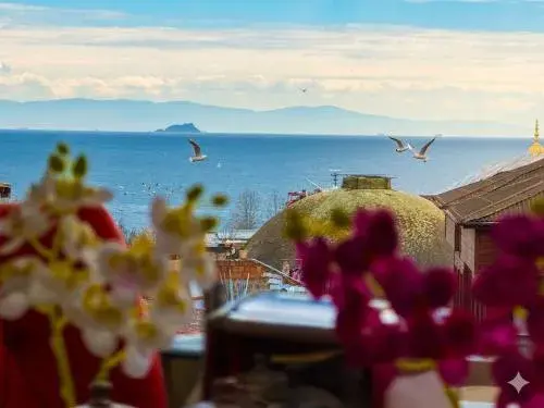 Ayasofya Hotel - Special Class Ayasofya Hotel - Special Class