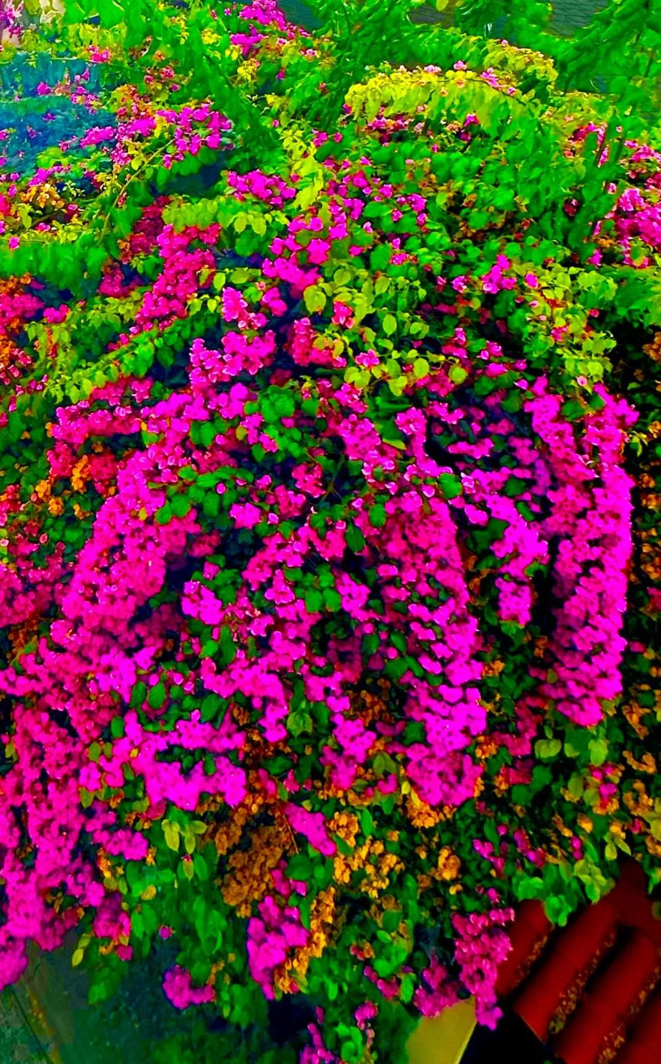 Spring in Ayasofya Hotel - Special Class