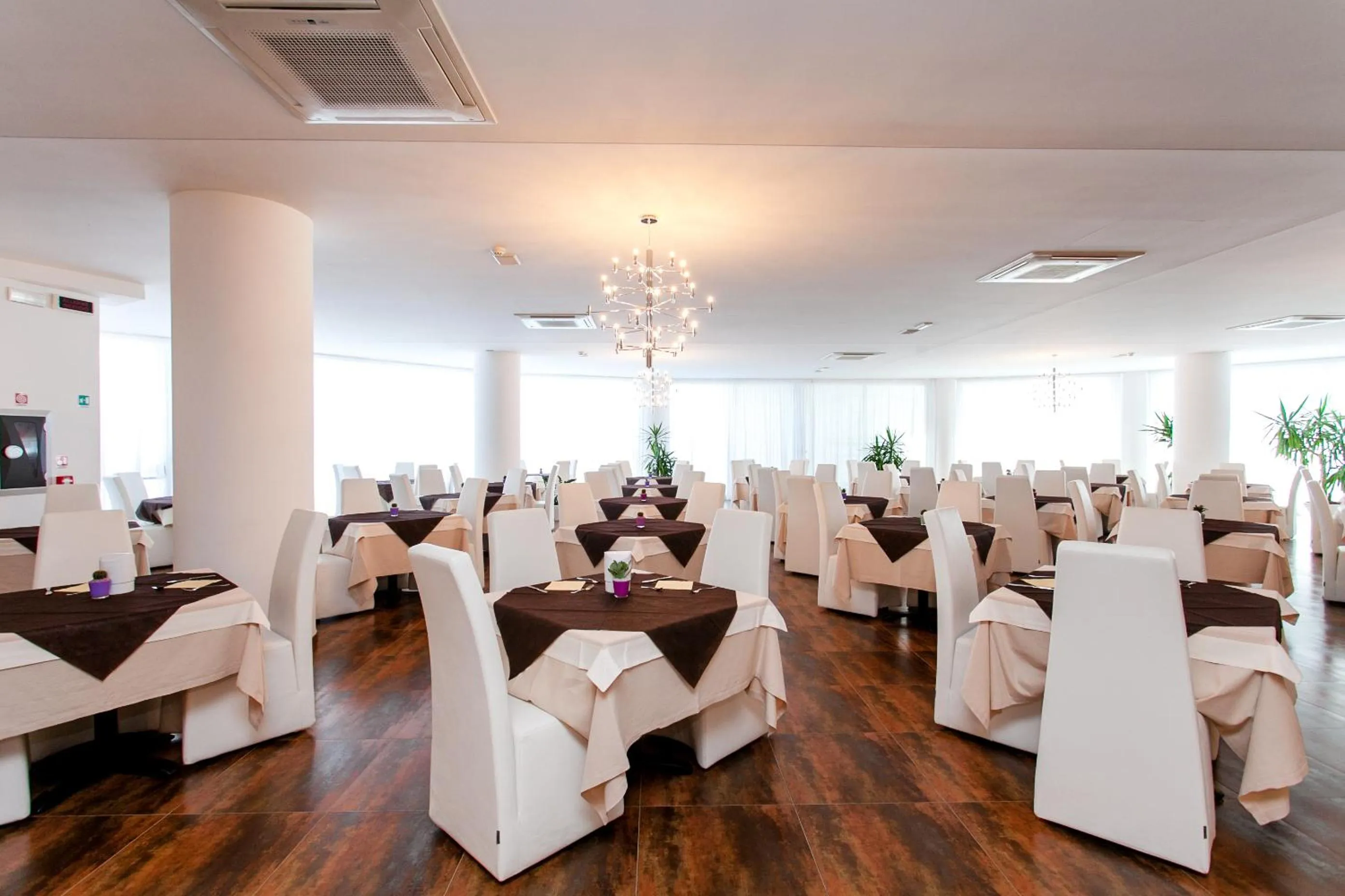 Restaurant/places to eat in Hotel Scialì