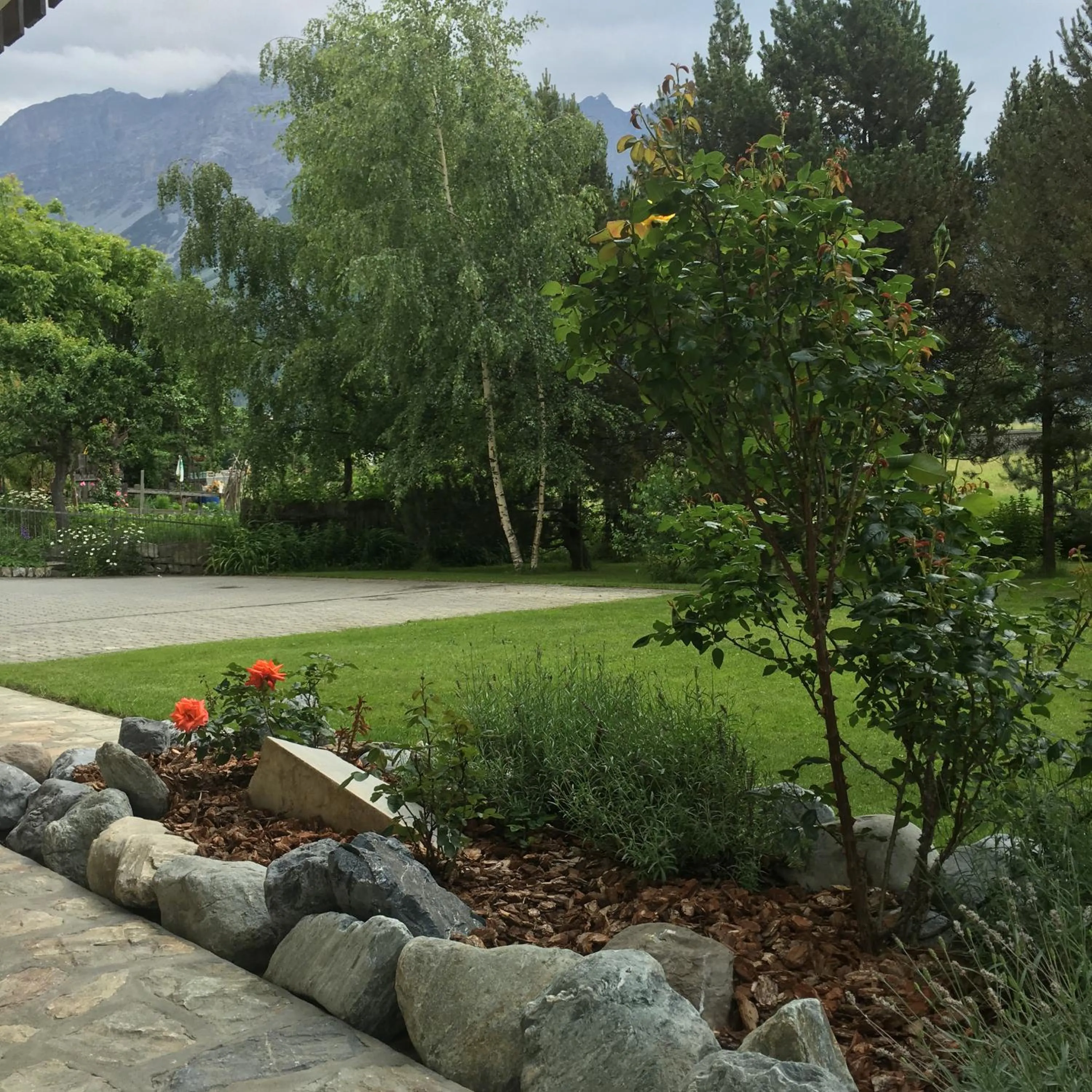 Garden in La Casa di Armando