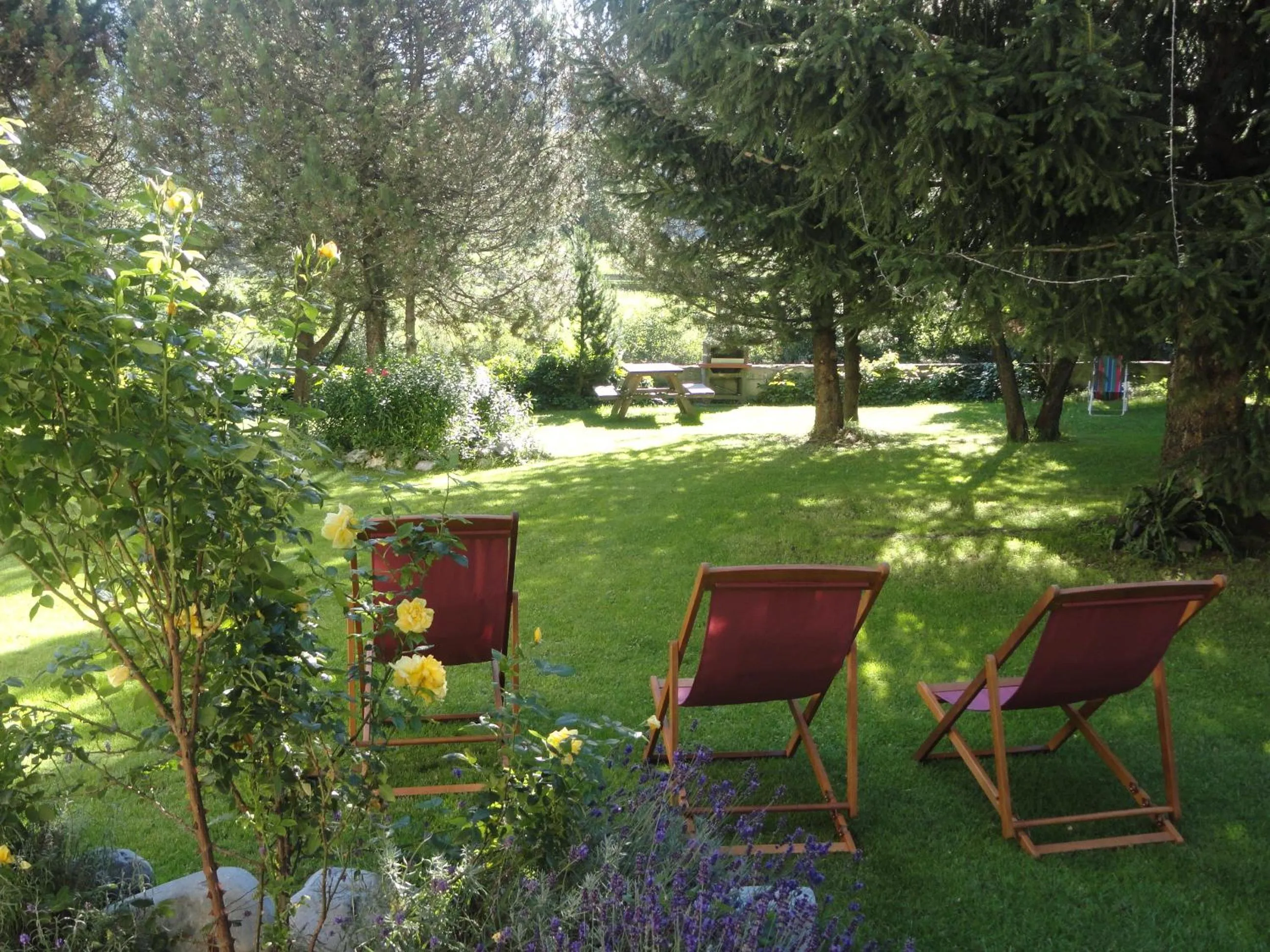 Garden in La Casa di Armando