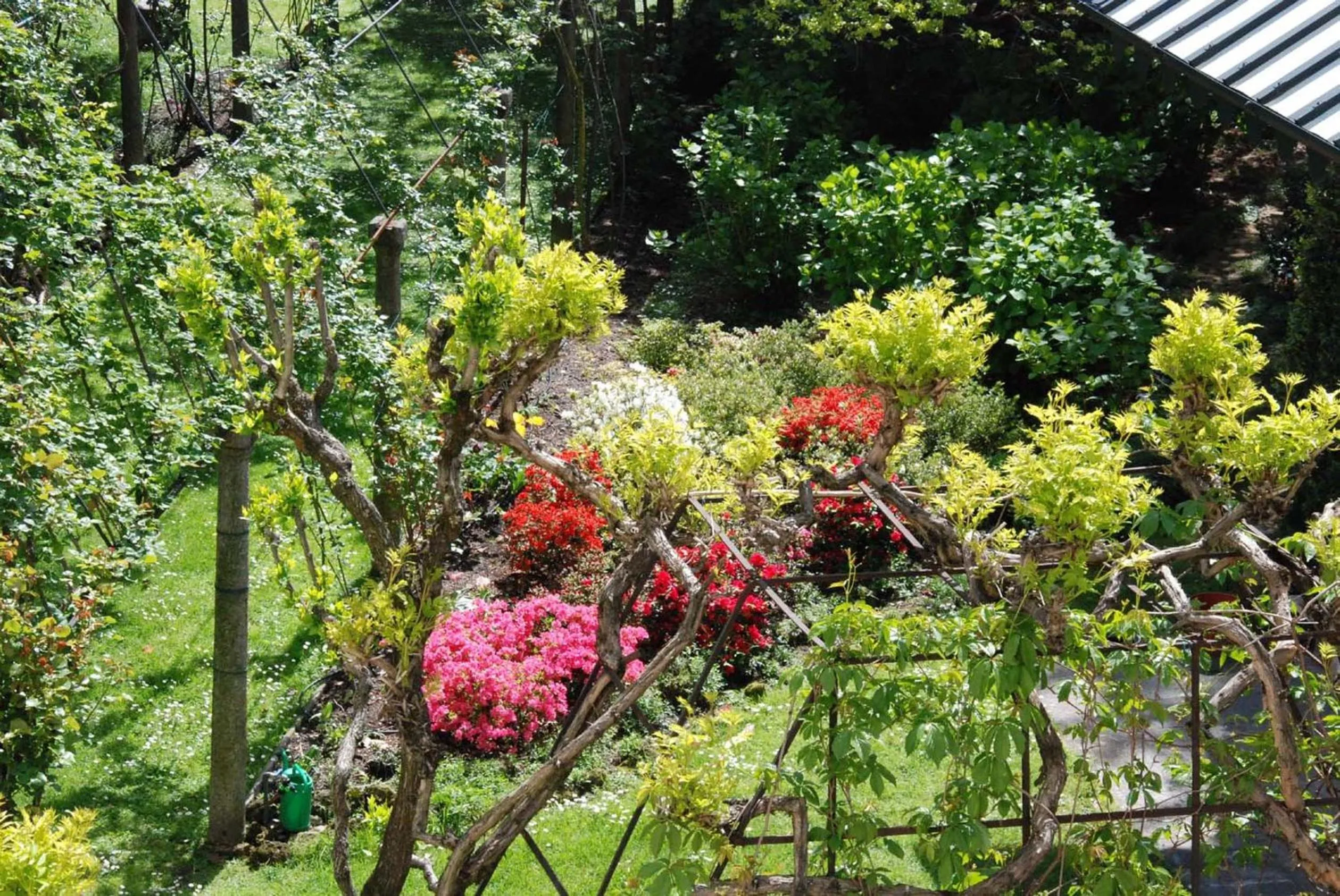 Garden in La Canarina Bed & Breakfast