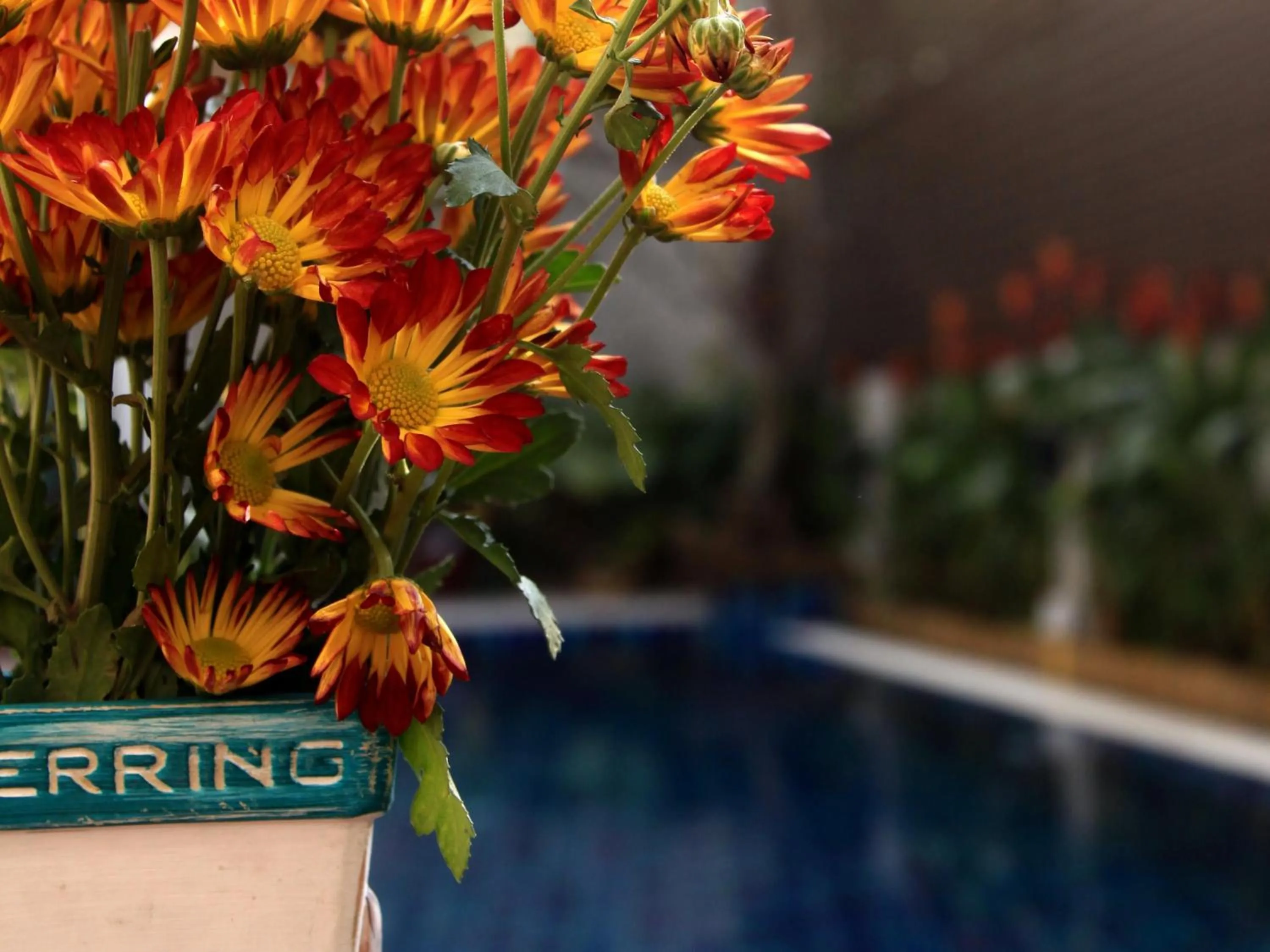 Swimming pool in Baan Ratchiangsaen