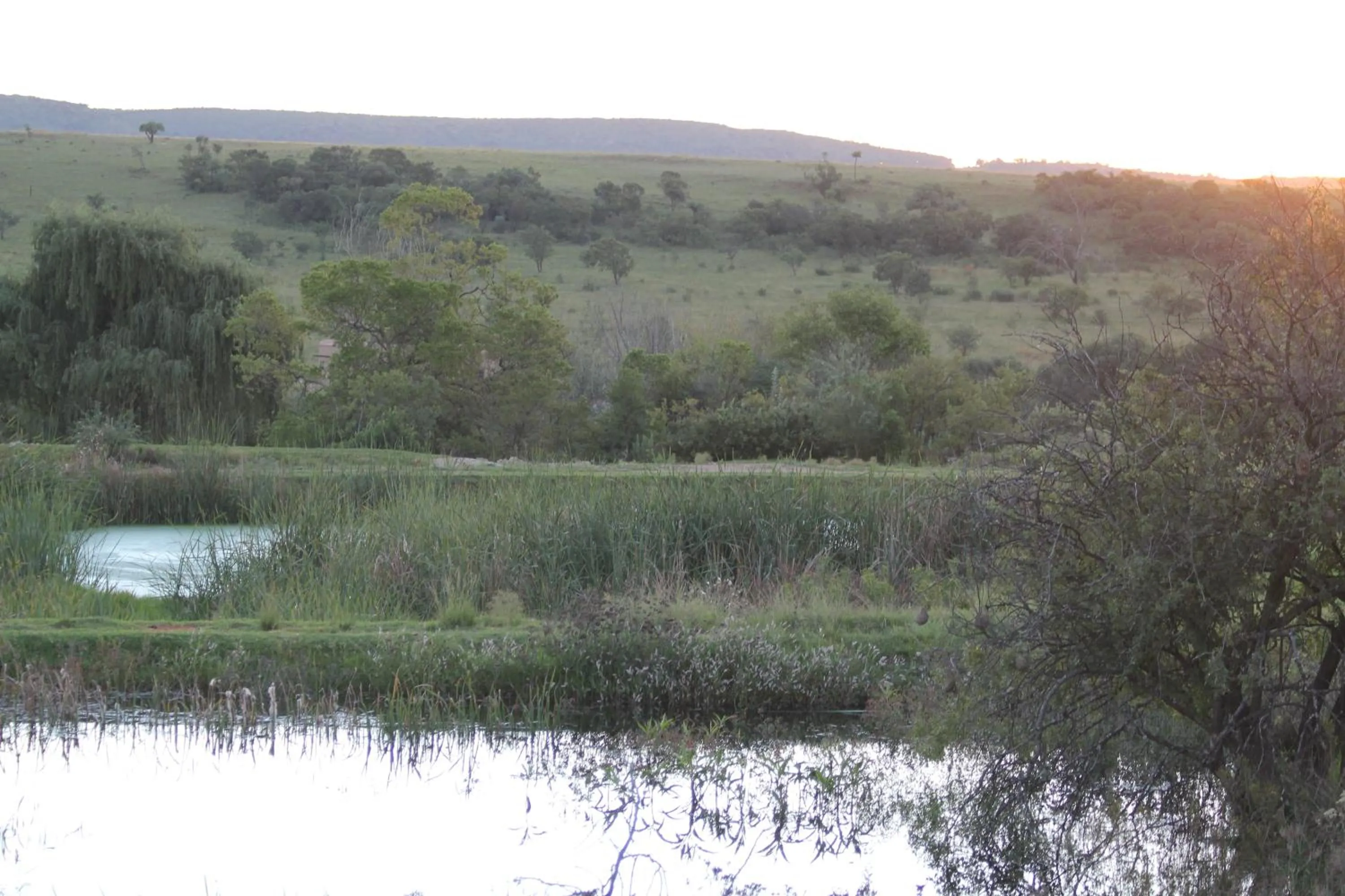 Lake view in Country Park Guest House - Muldersdrift