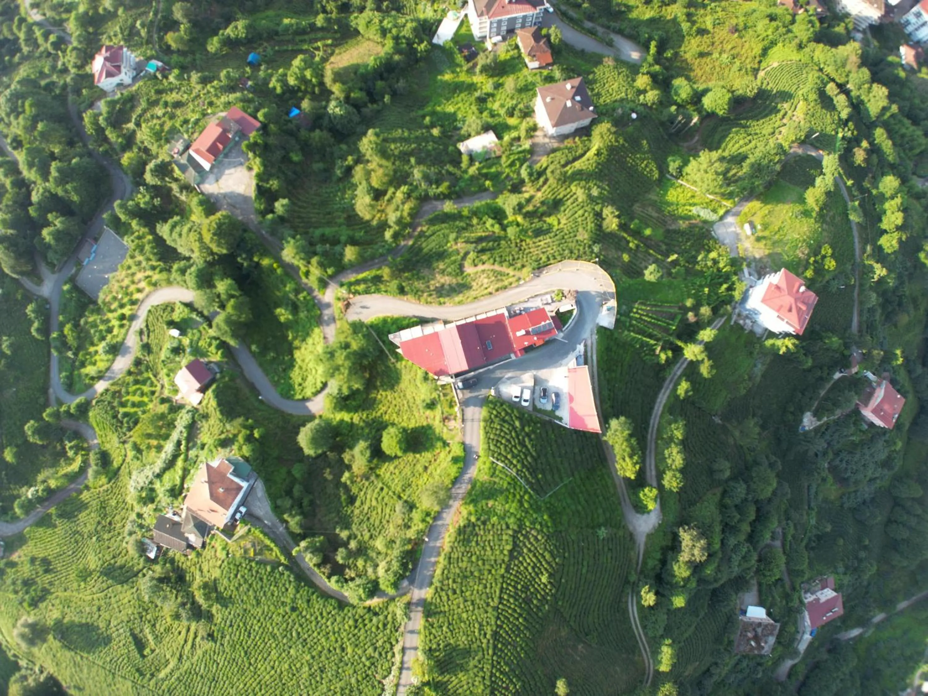 Bird's eye view in Sarı Köşk Hotel