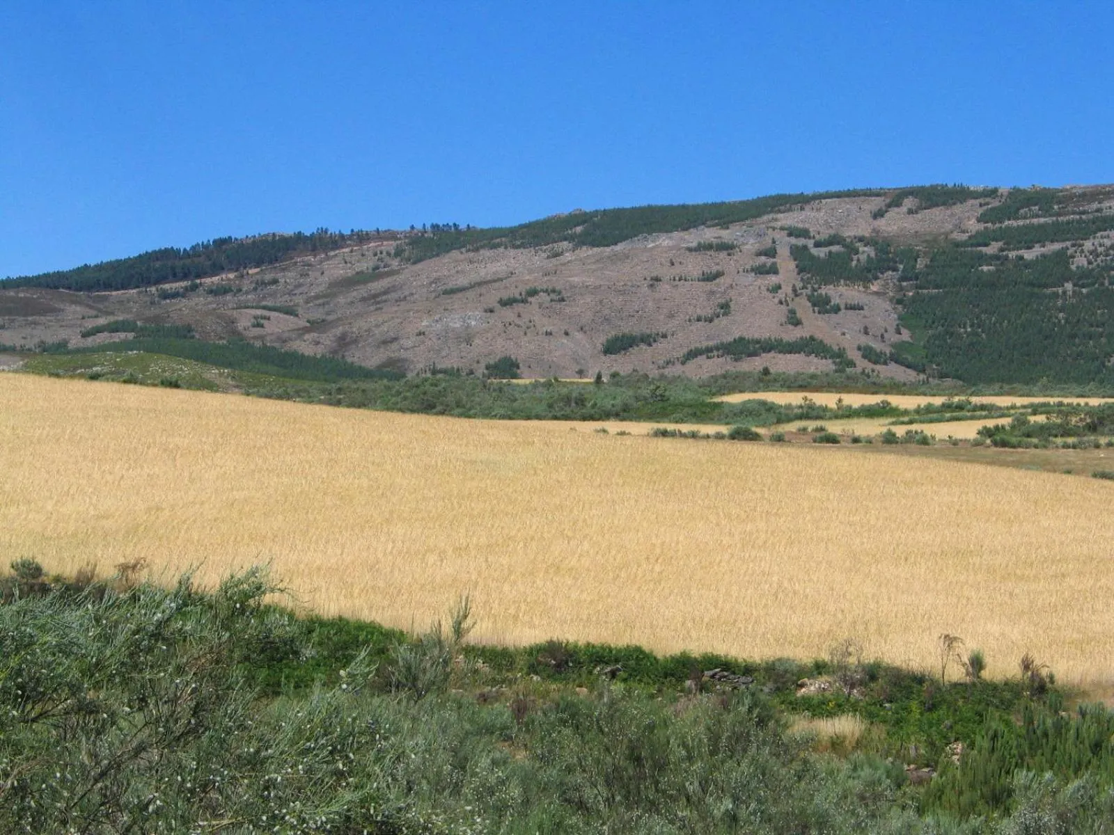 Natural landscape in Casa da Bica Gondesende