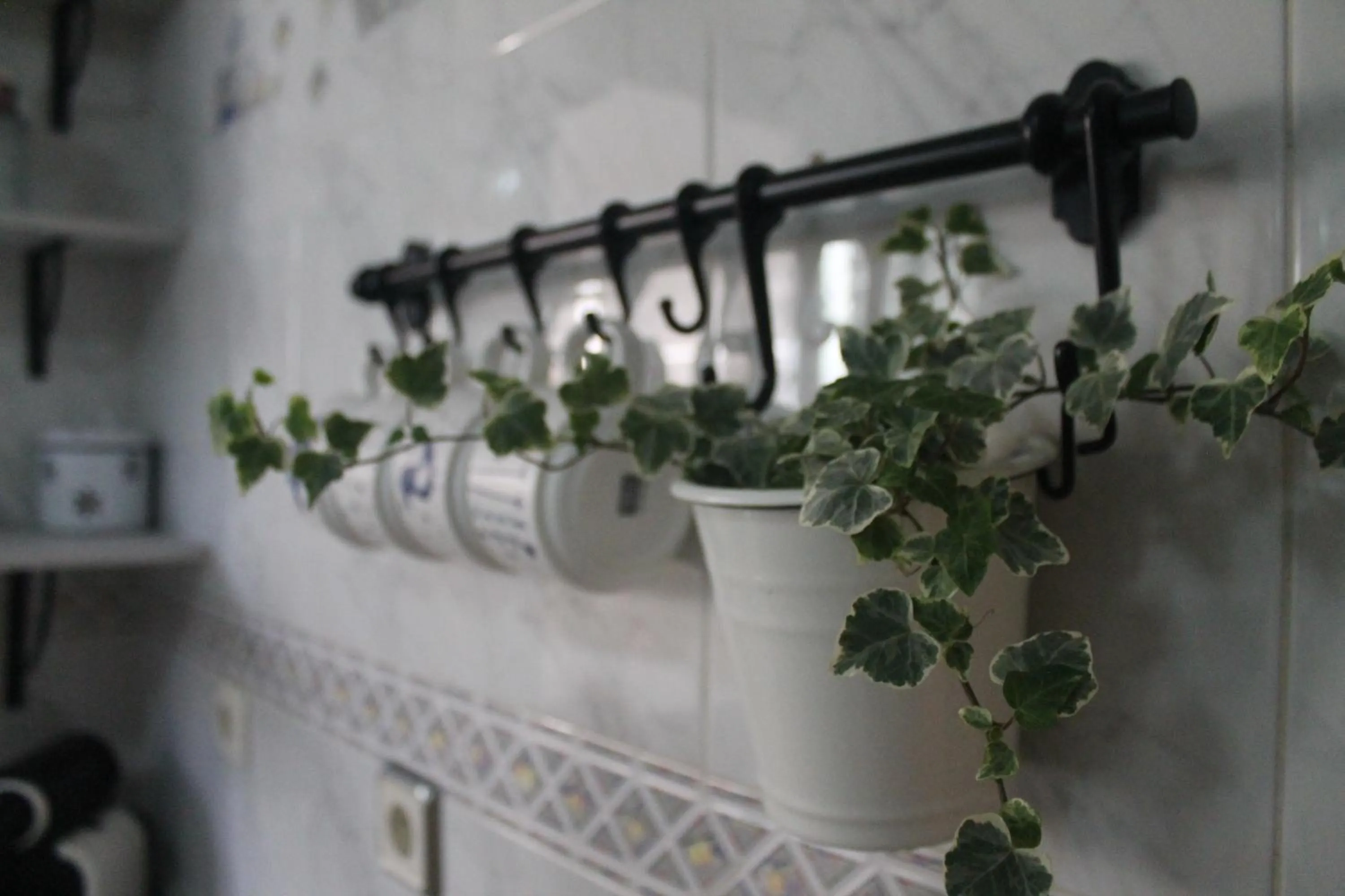 kitchen in Hedera