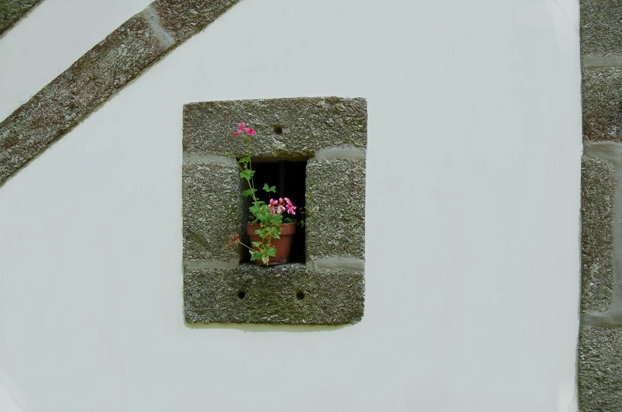 Area and facilities in Casa De Alfena