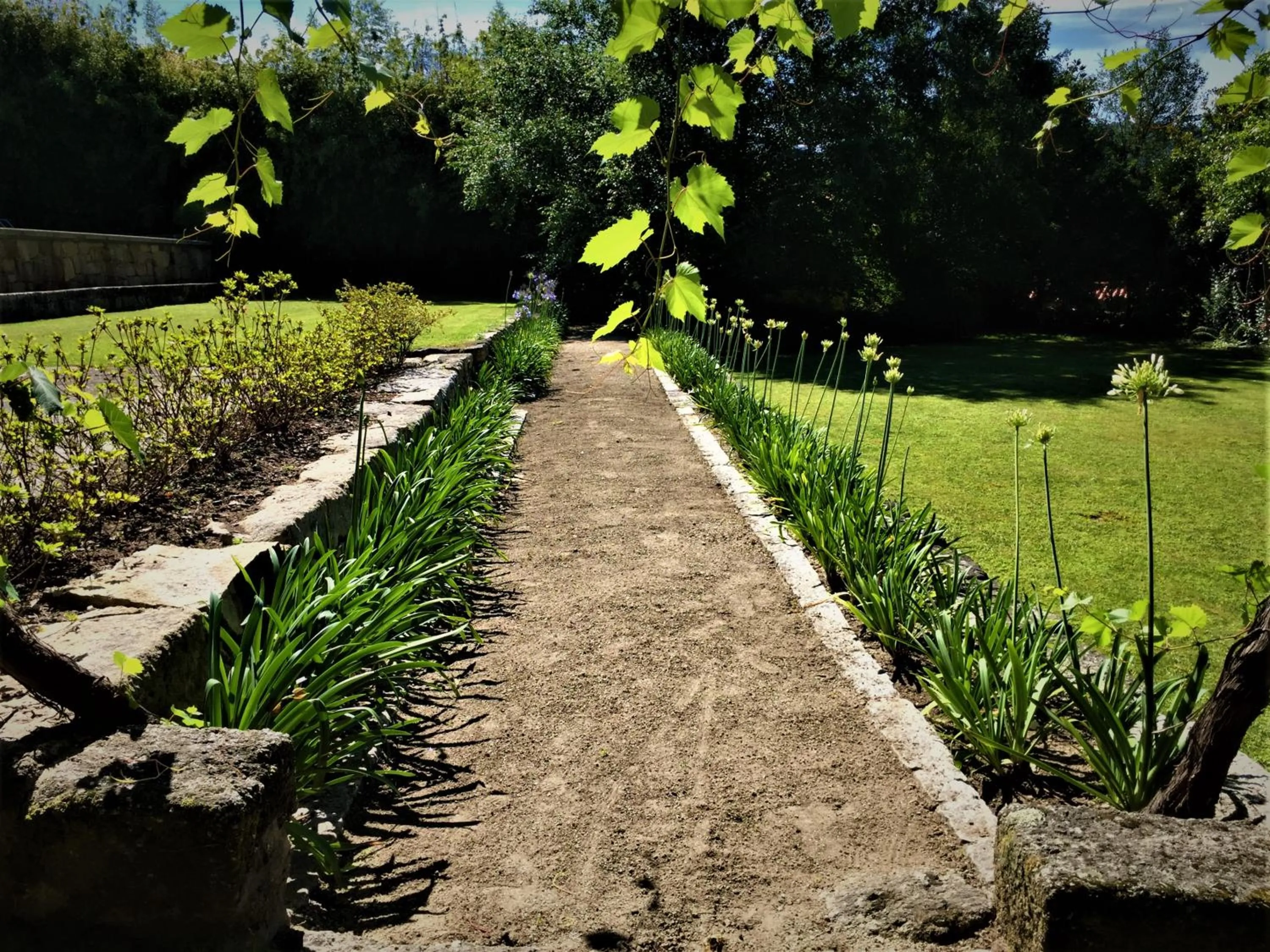 Garden in Casa De Alfena