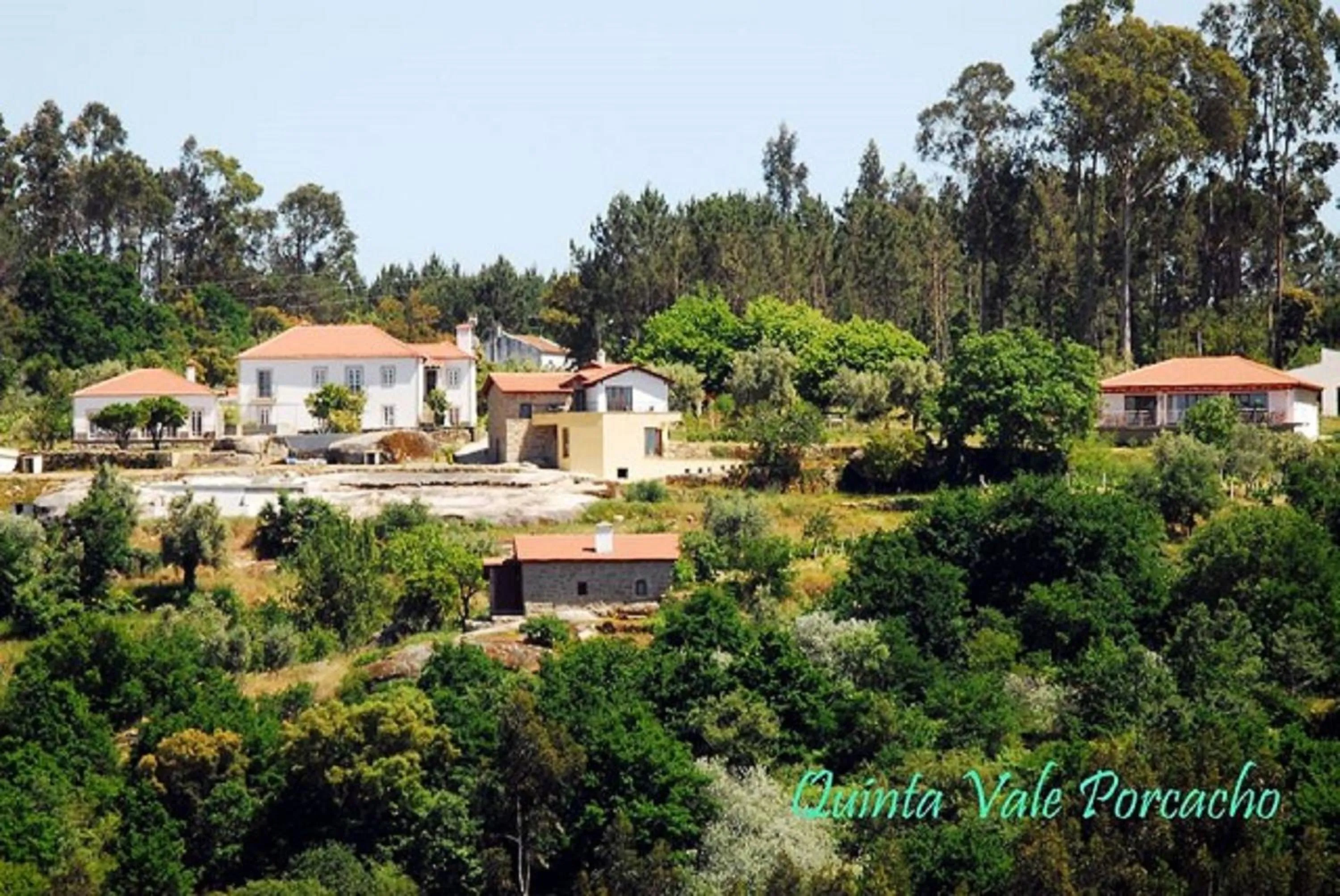 Bird's eye view in Quinta Vale Porcacho