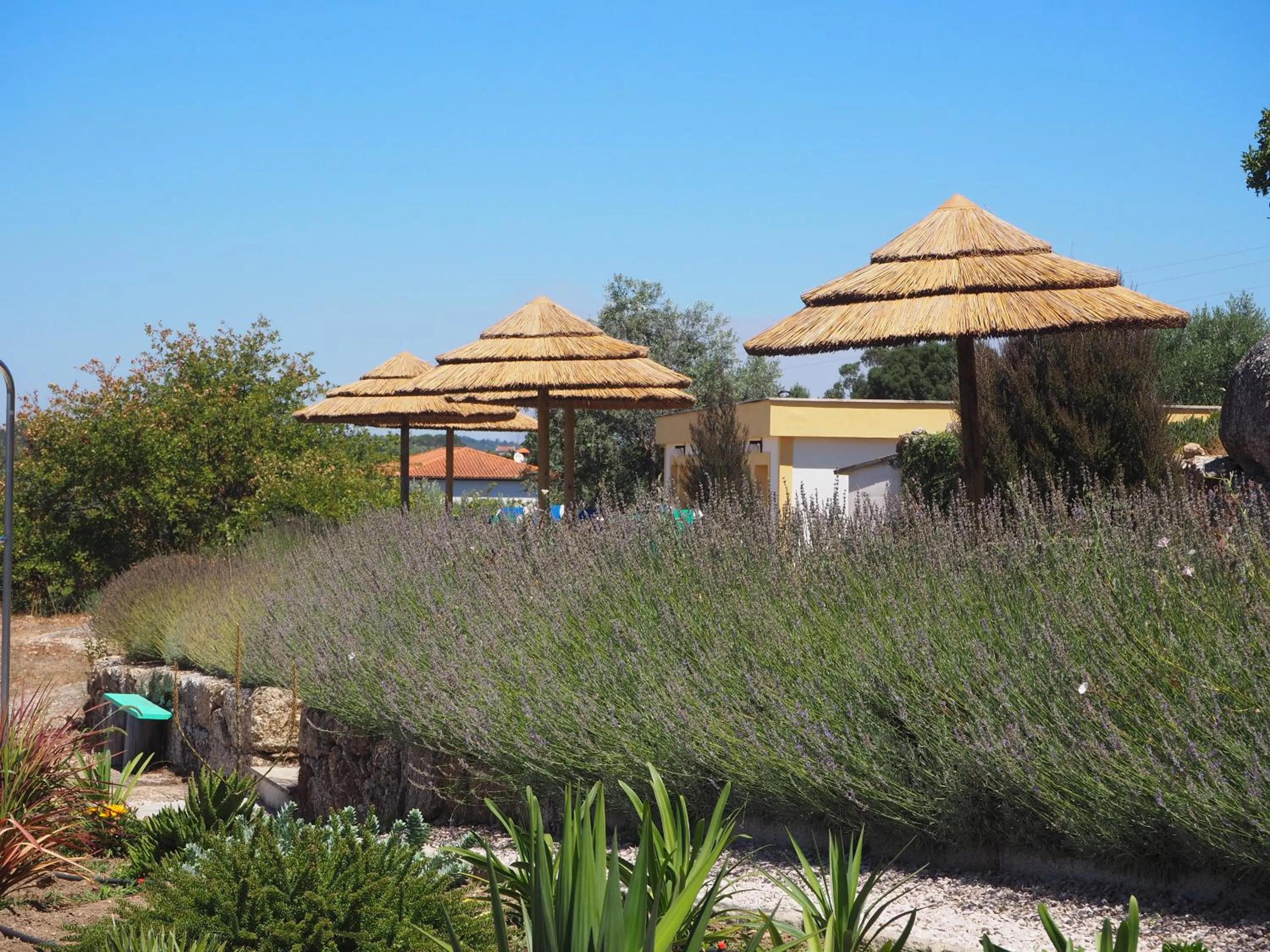 Garden in Quinta Vale Porcacho