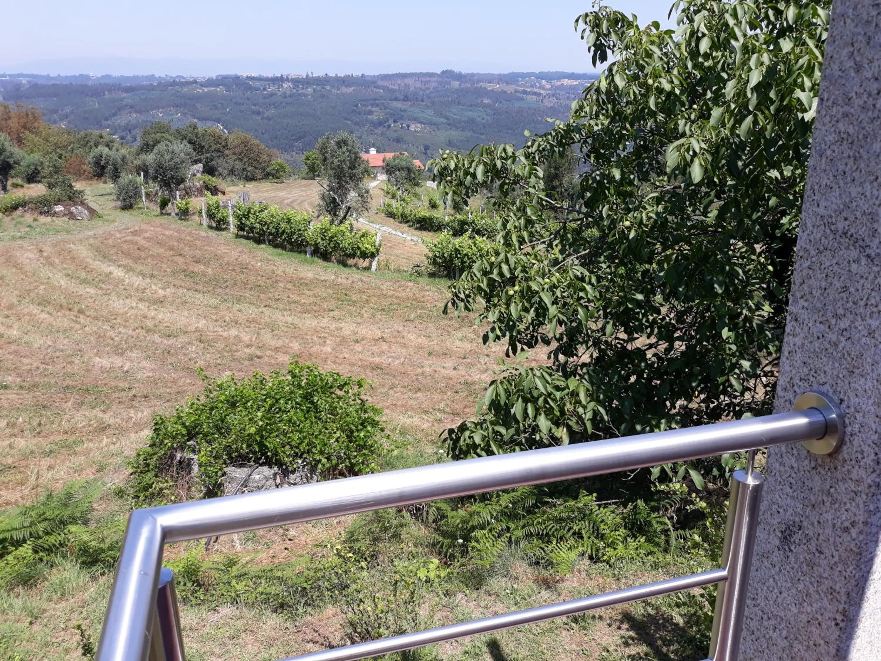 Garden in Quinta Vale Porcacho