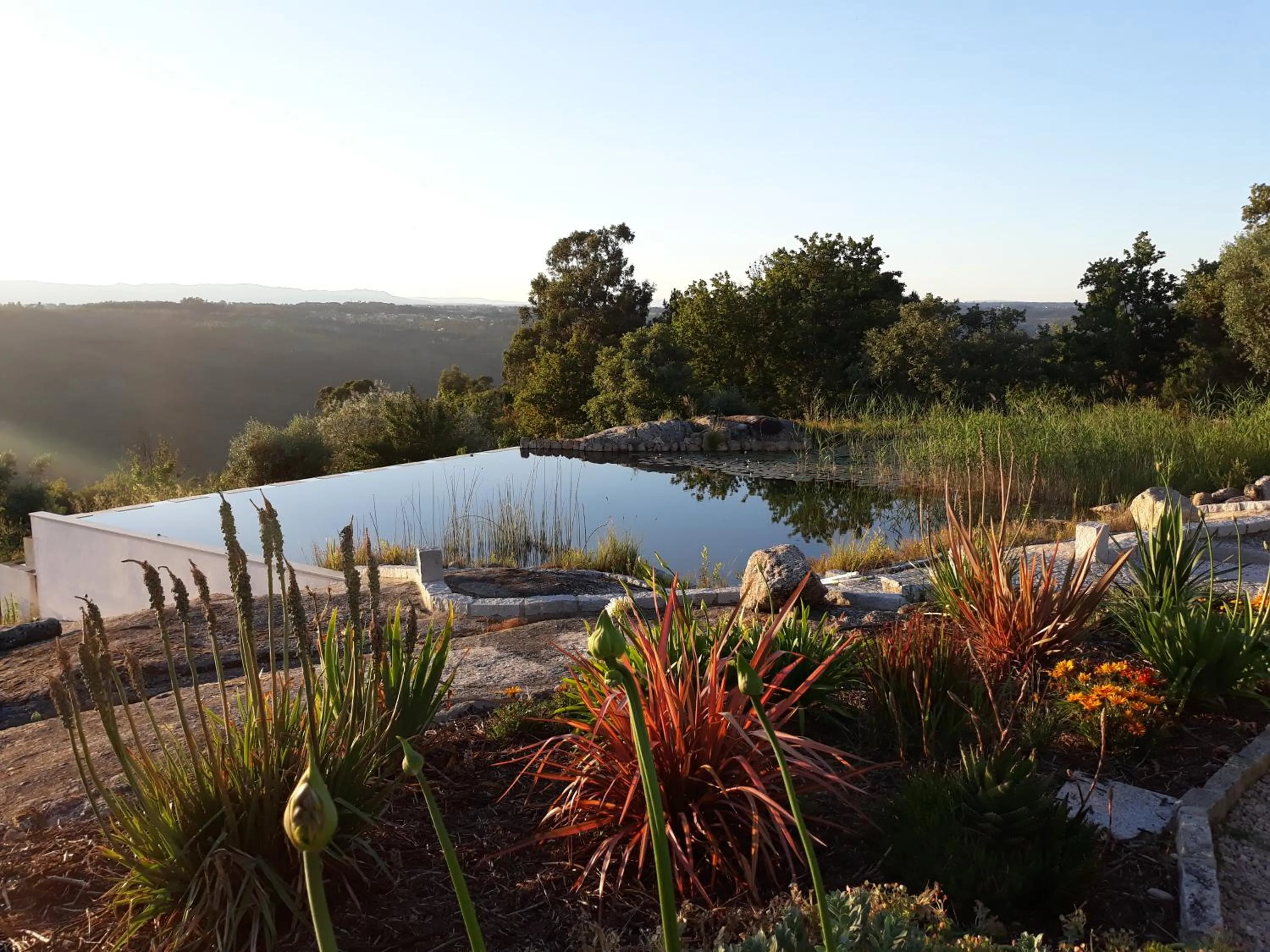 Swimming pool in Quinta Vale Porcacho