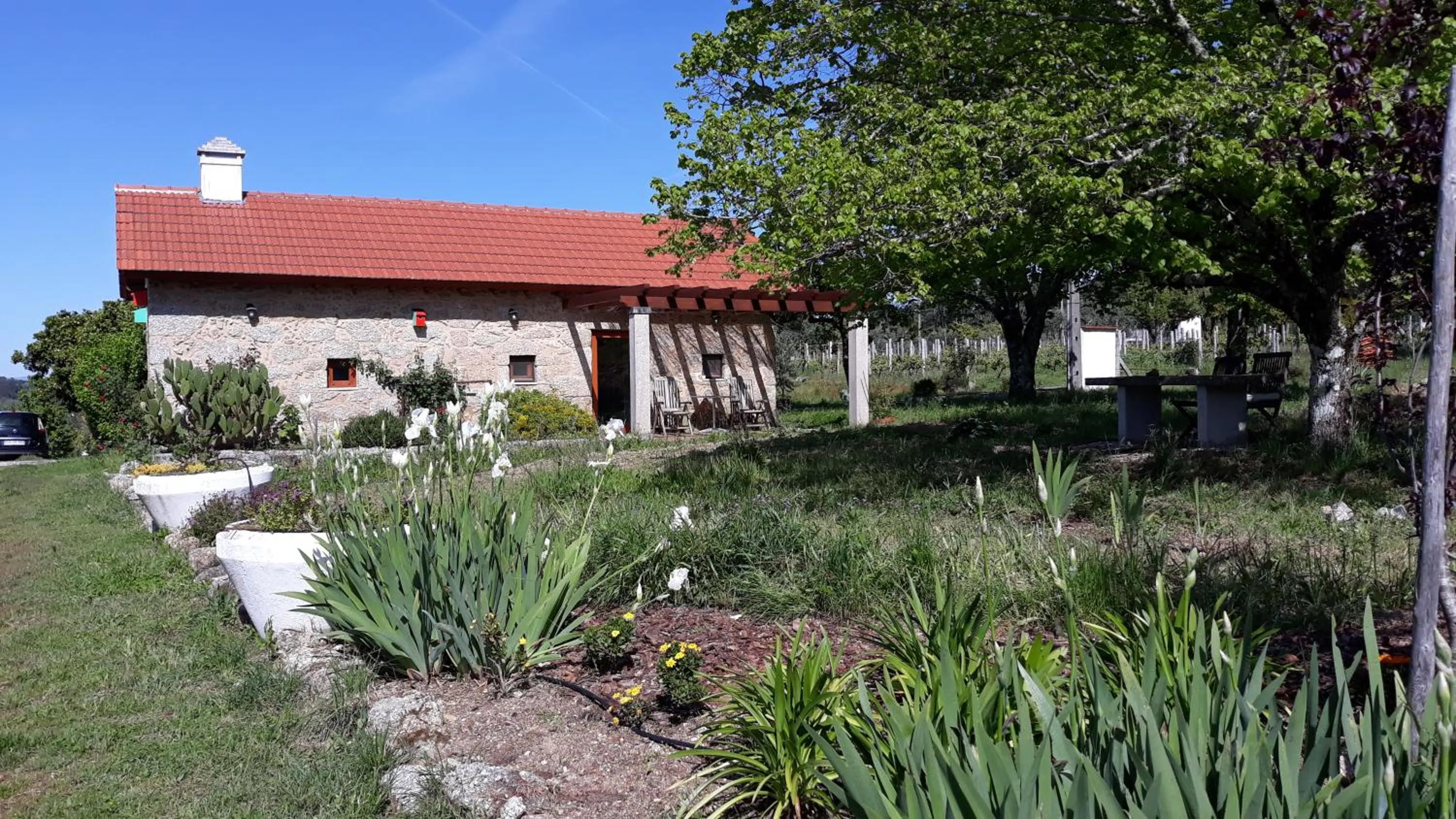 Property building in Quinta Vale Porcacho