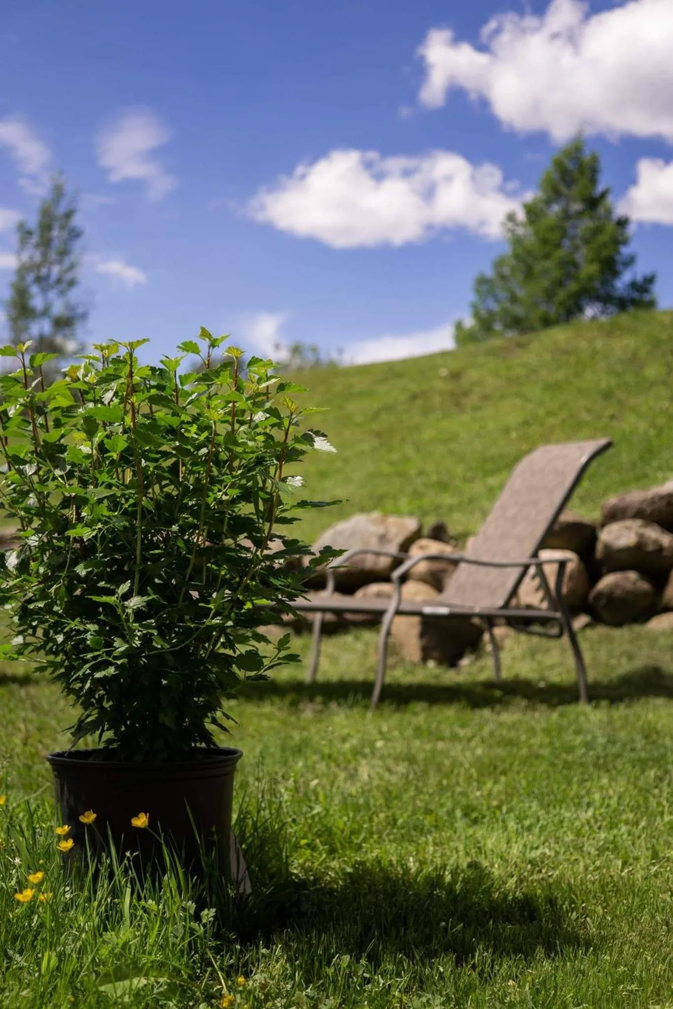 Garden in Condo Hotel Au pied du Mont Orford