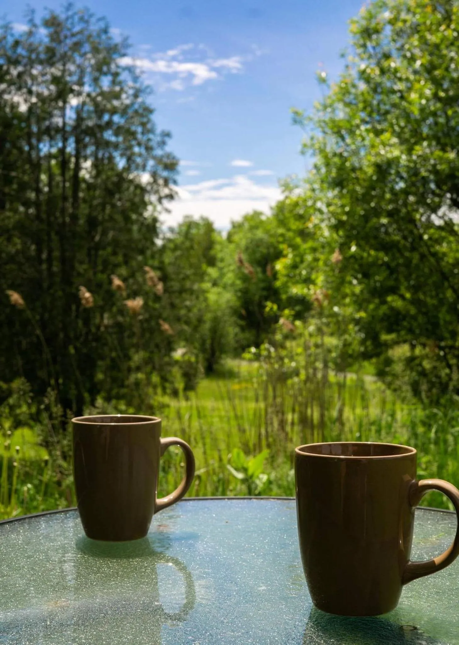 Condo Hotel Au pied du Mont Orford