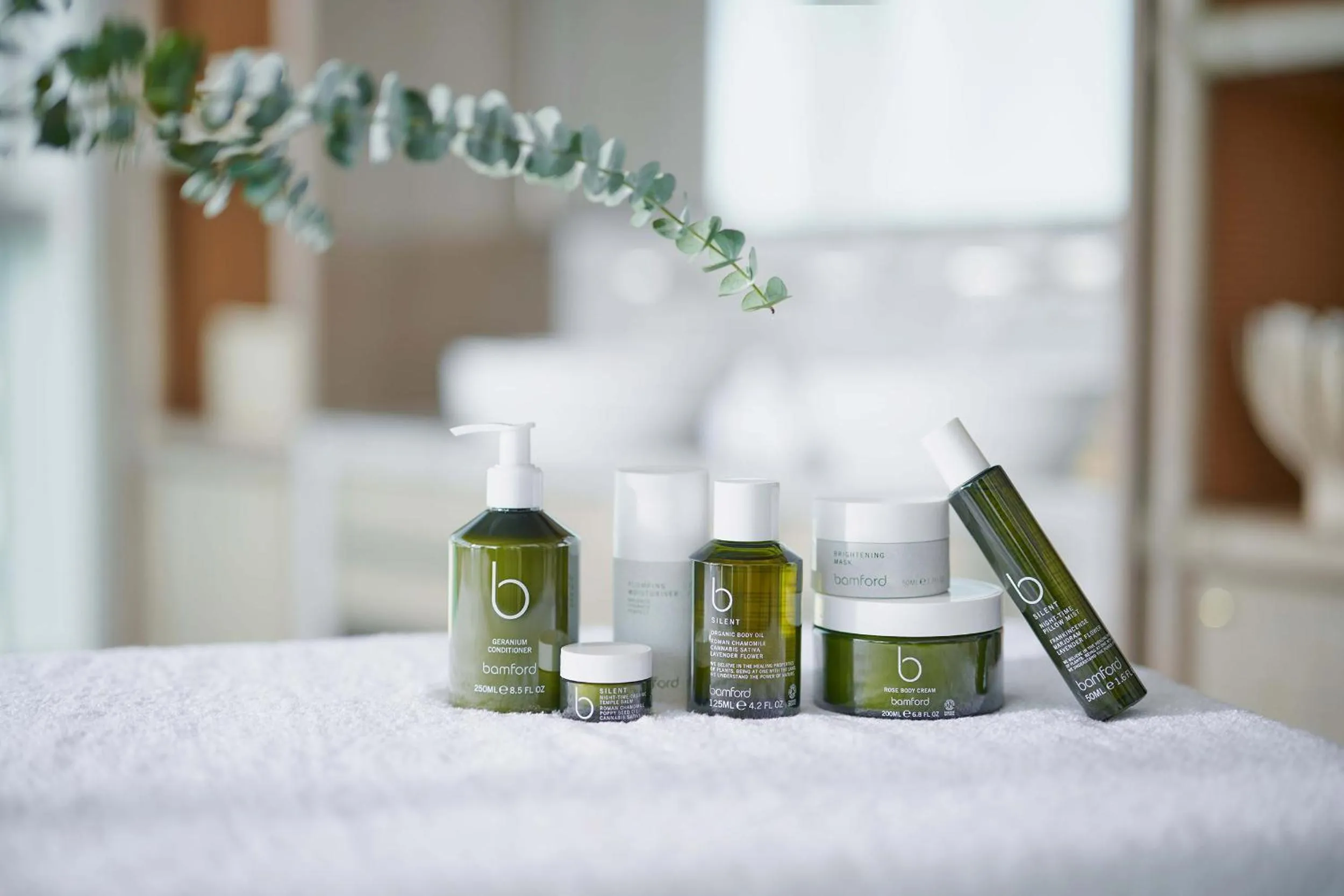 Spa and wellness centre/facilities in The Fullerton Ocean Park Hotel Hong Kong