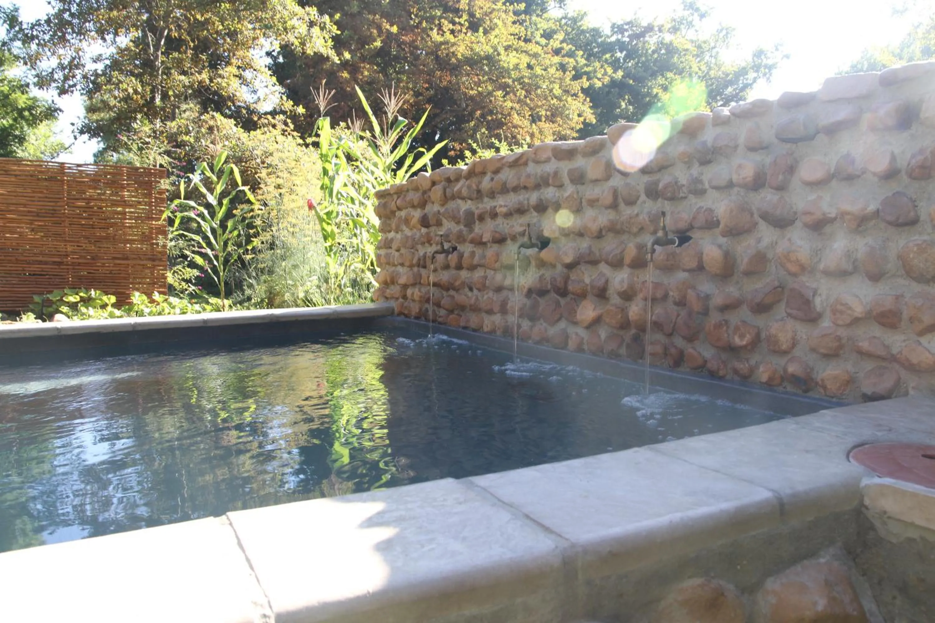 Swimming pool in Aan De Vliet Guest House