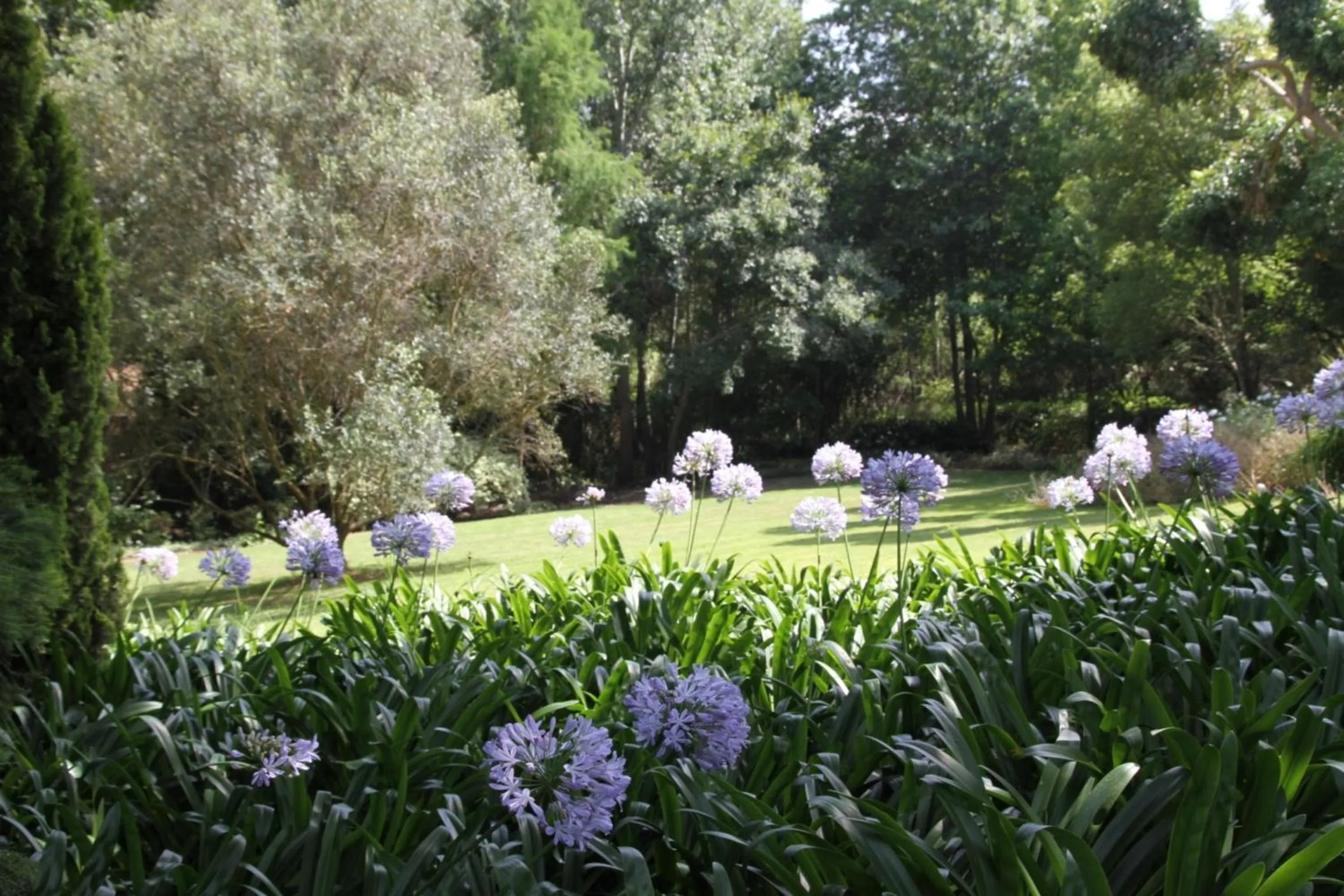 Garden in Aan De Vliet Guest House
