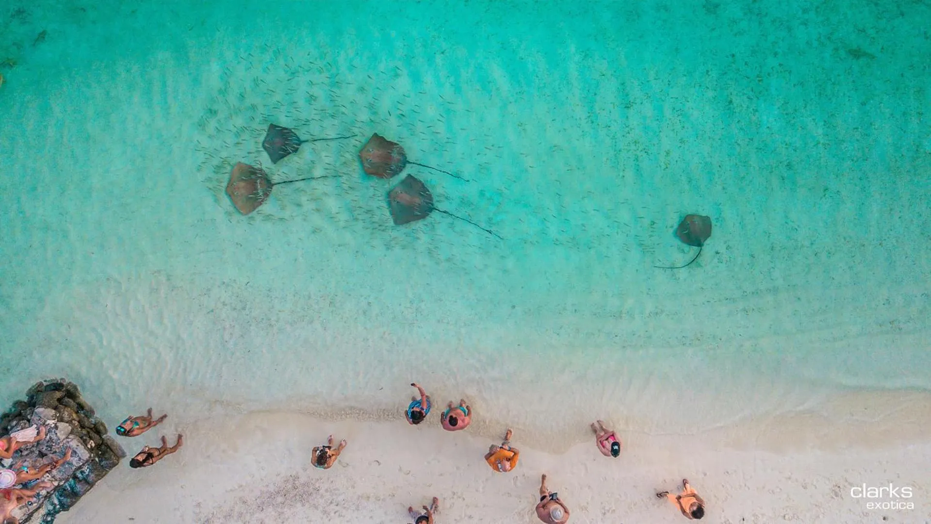 Snorkeling in Swarn by Hawks Hotels Kamadhoo Baa Atoll