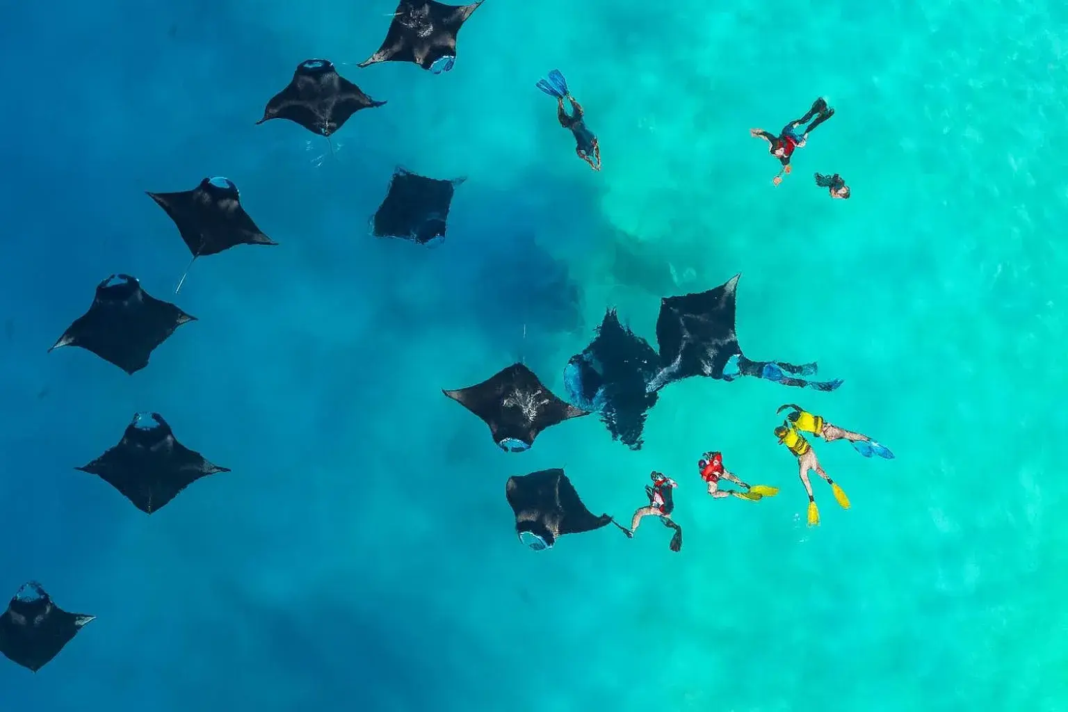 Swarn by Hawks Hotels Kamadhoo Baa Atoll Swarn by Hawks Hotels Kamadhoo Baa Atoll