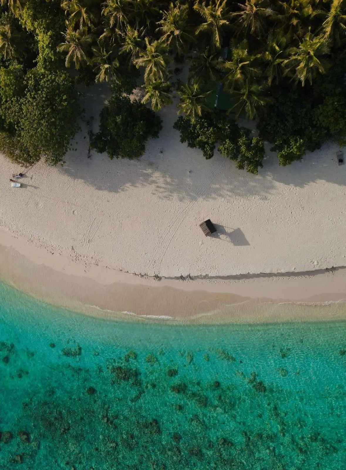 Natural landscape in Swarn by Hawks Hotels Kamadhoo Baa Atoll