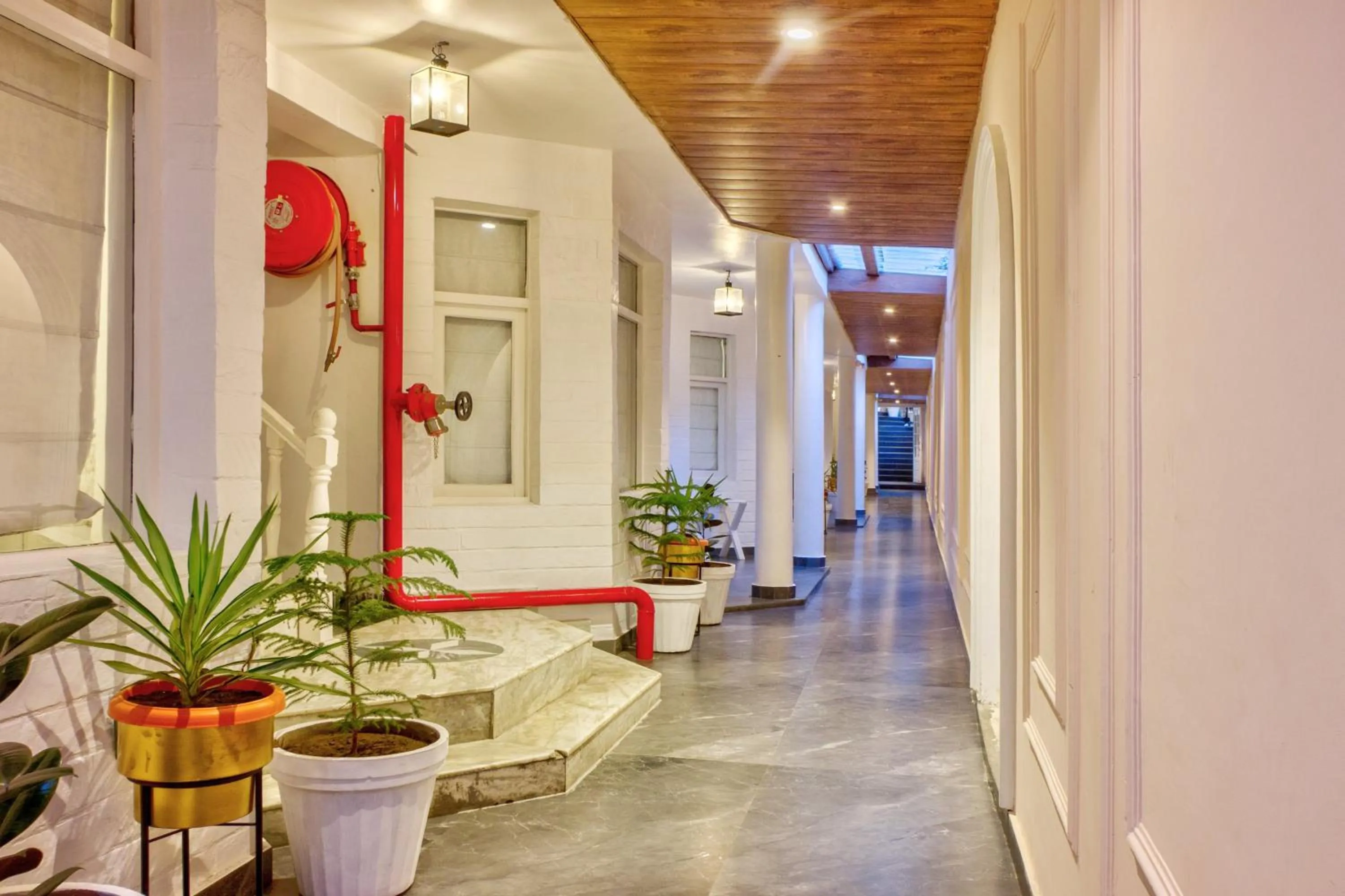 flat iron in PARADISE-The Whitehouse Cafe