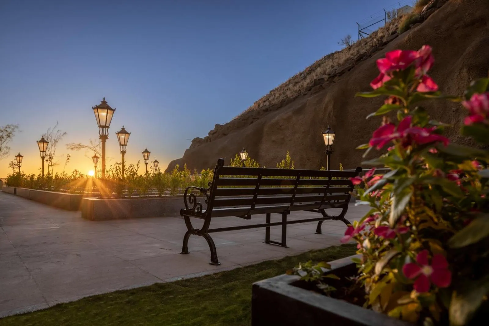 Garden in Citadines Abha