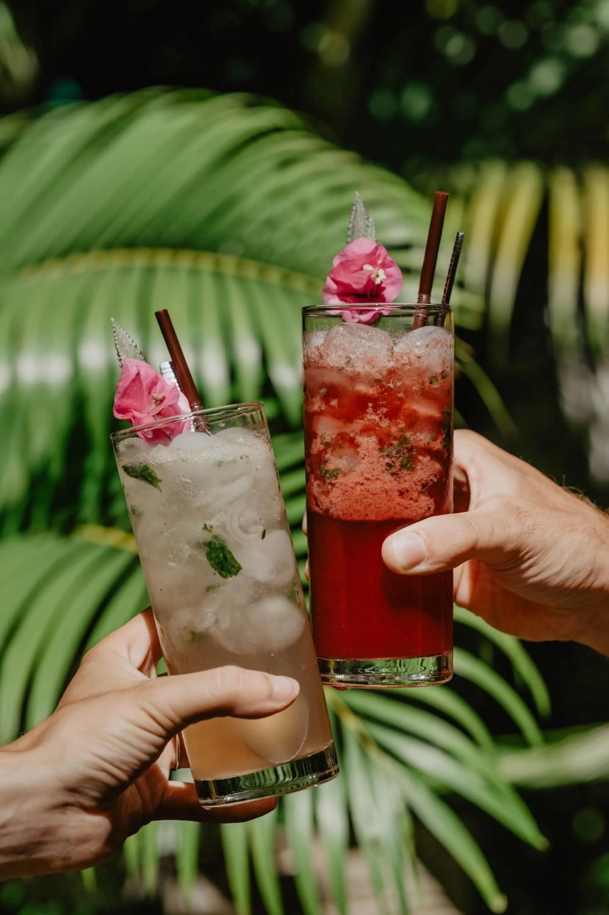 minibar in La Bastide de Caro