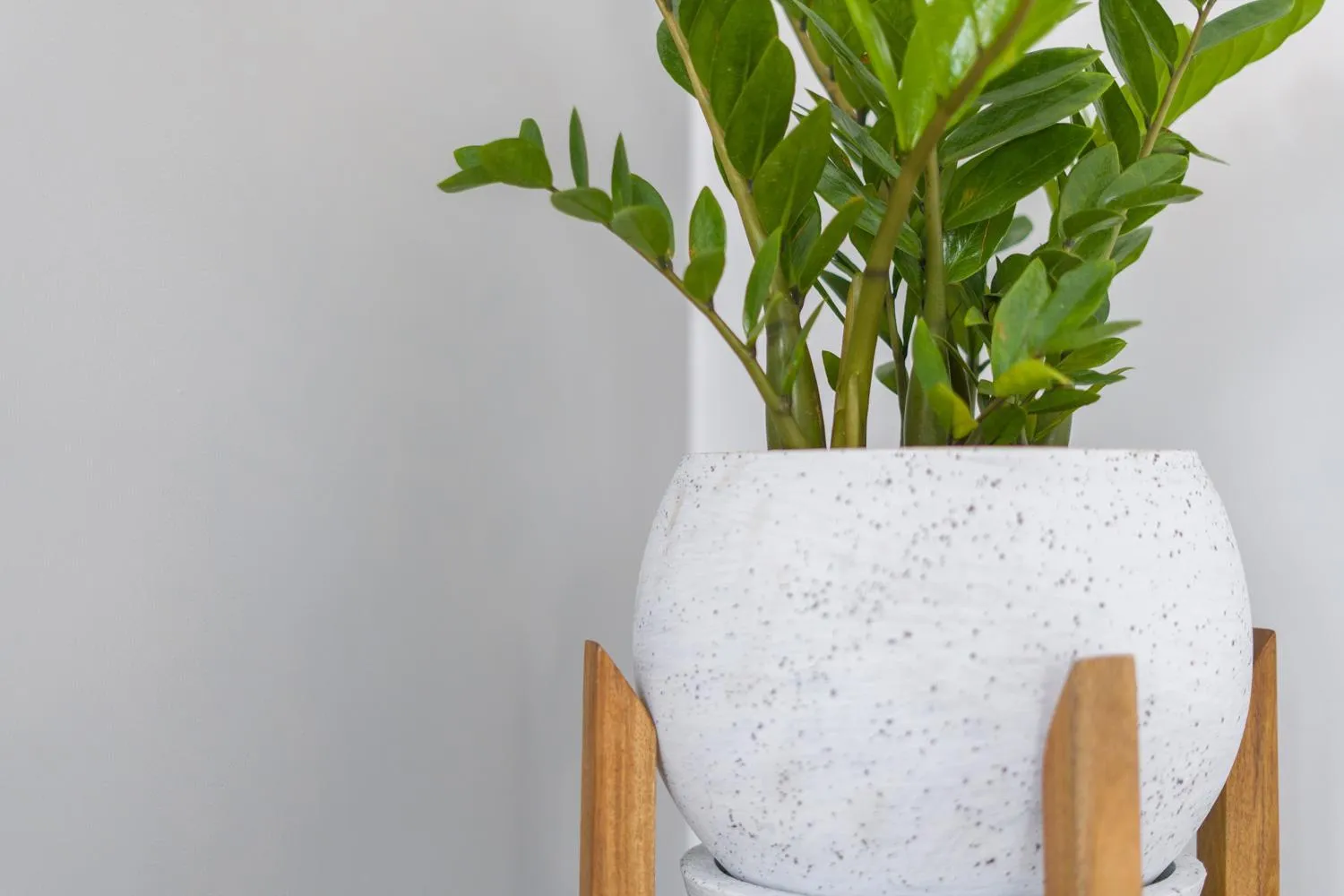 Decorative detail in La Bastide de Caro