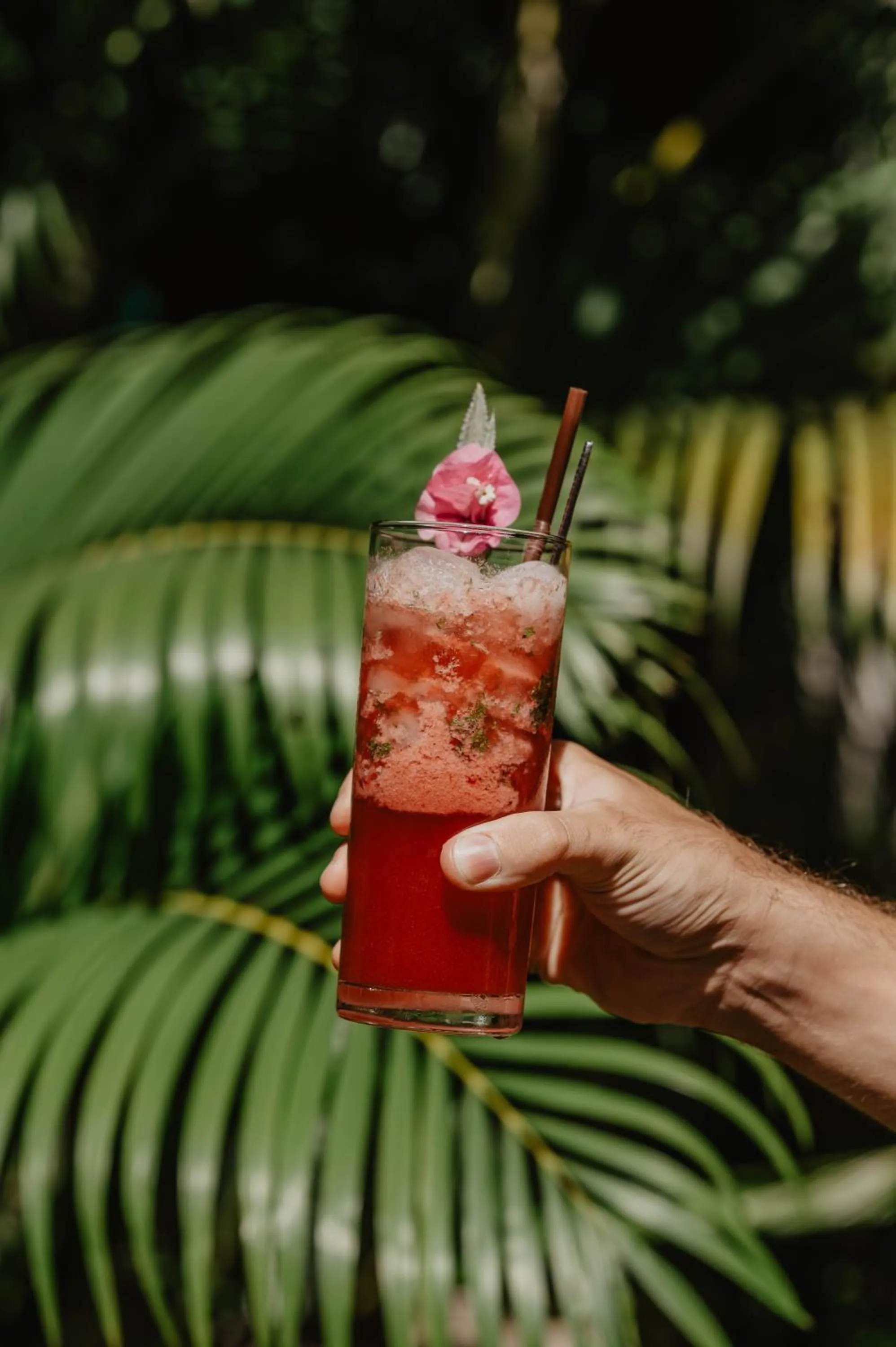 Lounge or bar in La Bastide de Caro