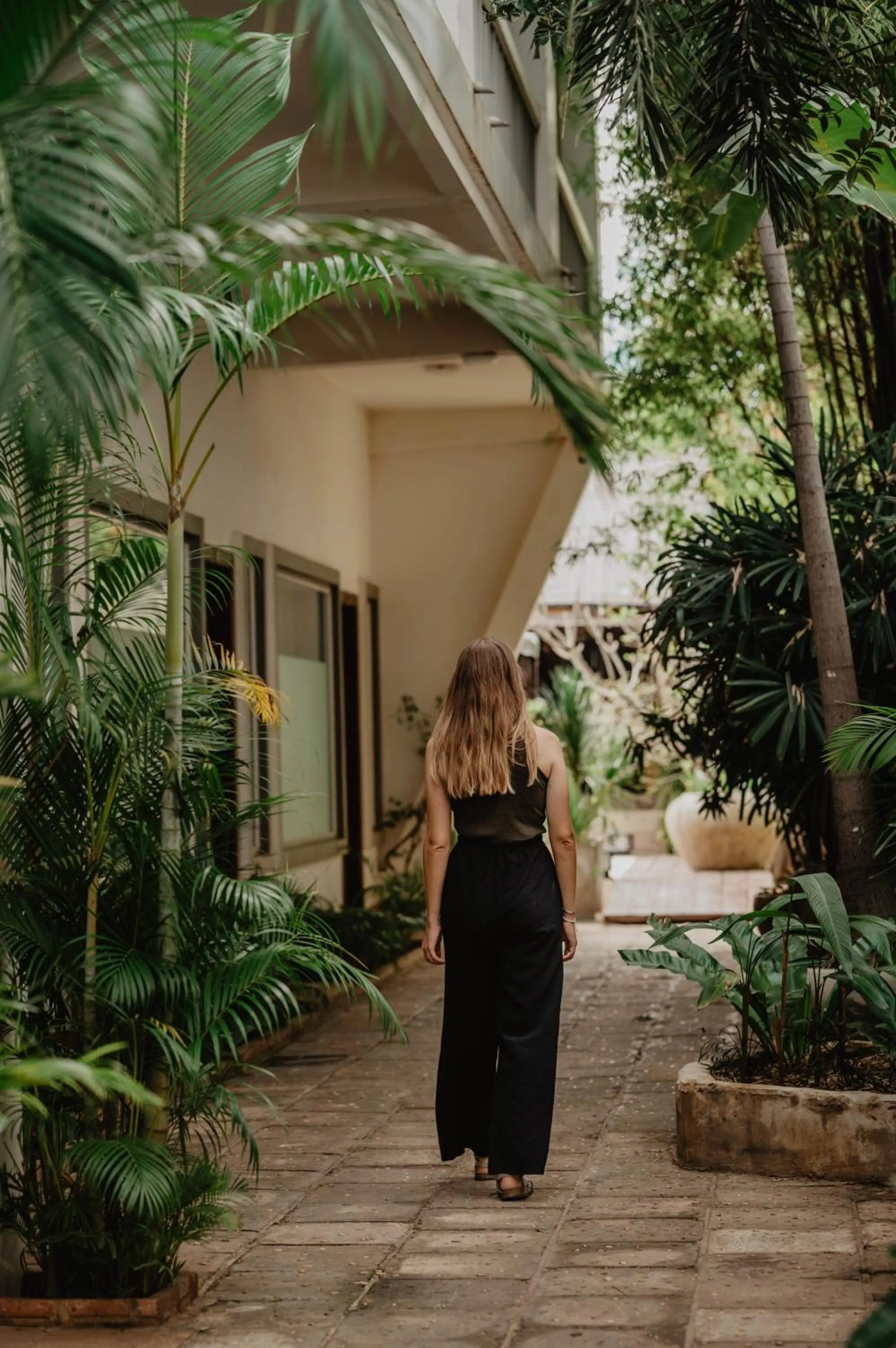 Garden view in La Bastide de Caro
