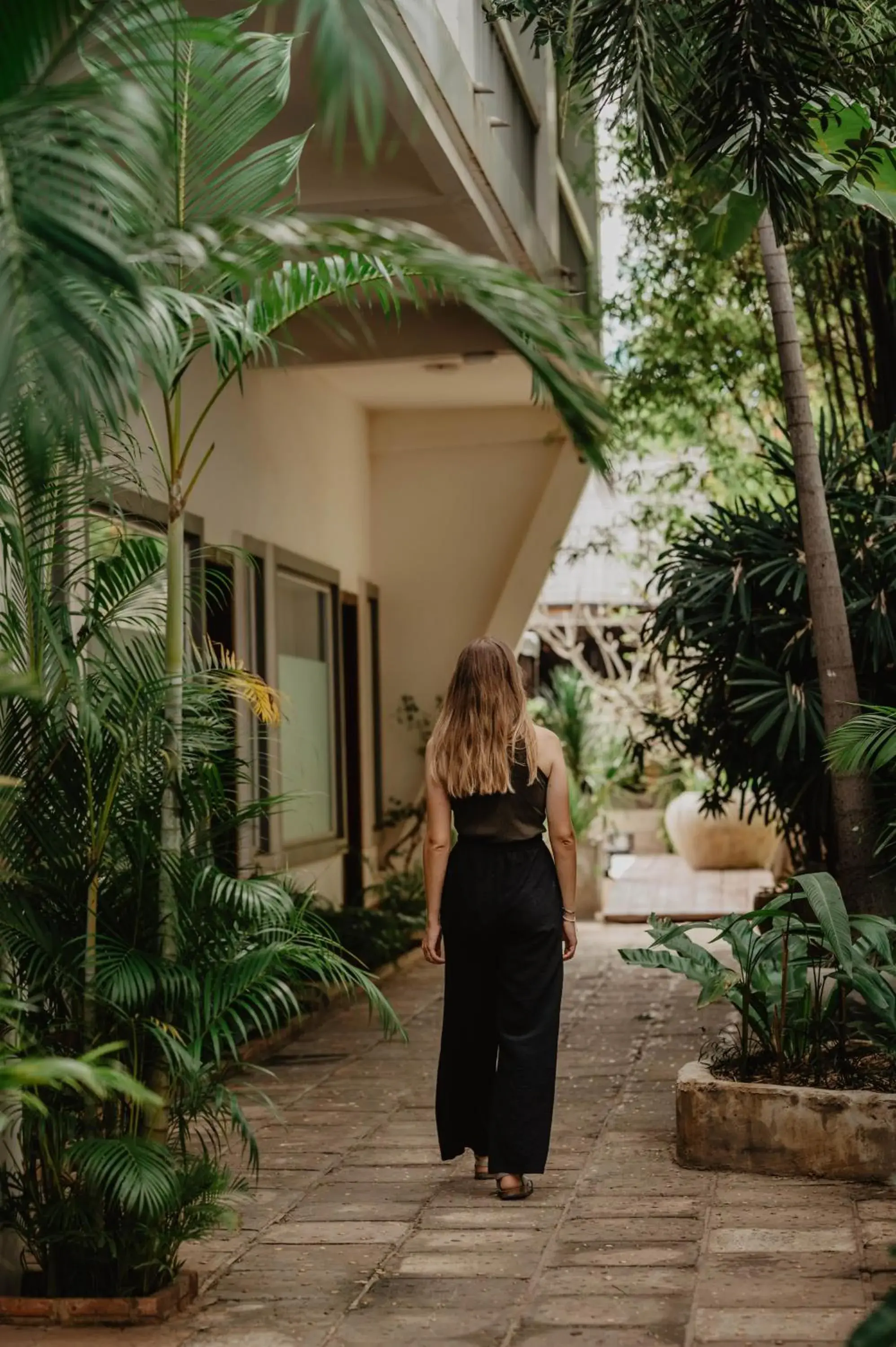Garden view in La Bastide de Caro Garden view in La Bastide de Caro