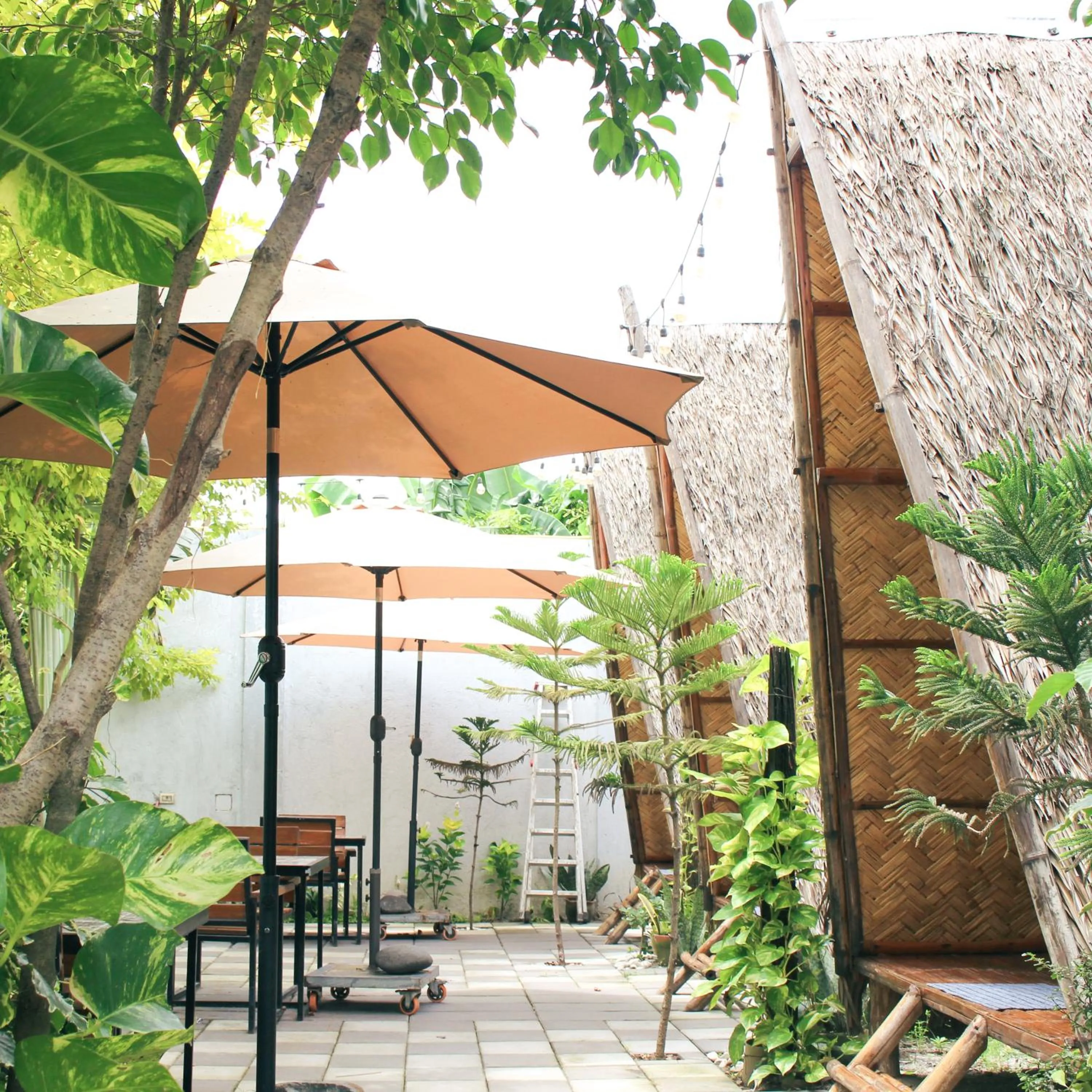 Other in Urban Oasis Resort, Tarlac