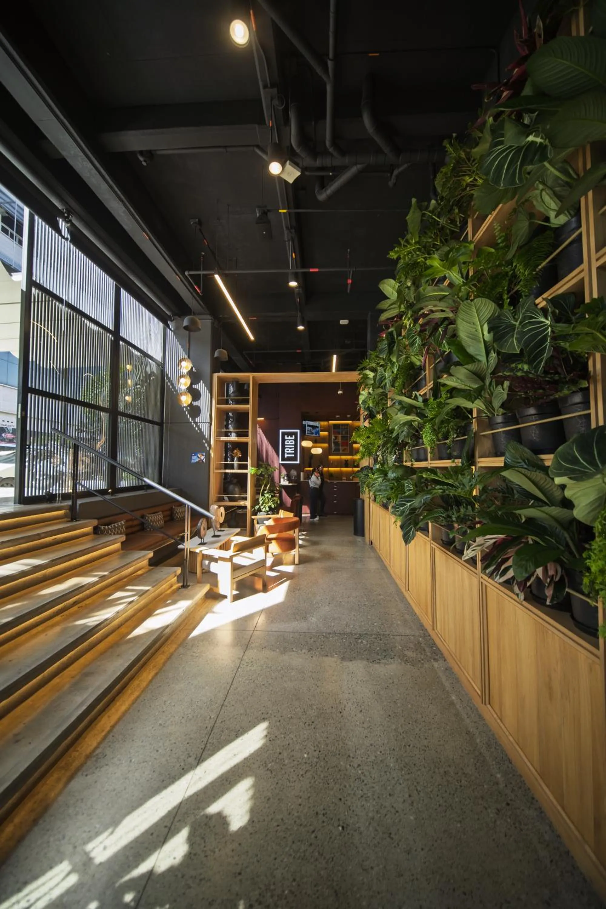 Lobby or reception in Tribe Medellín
