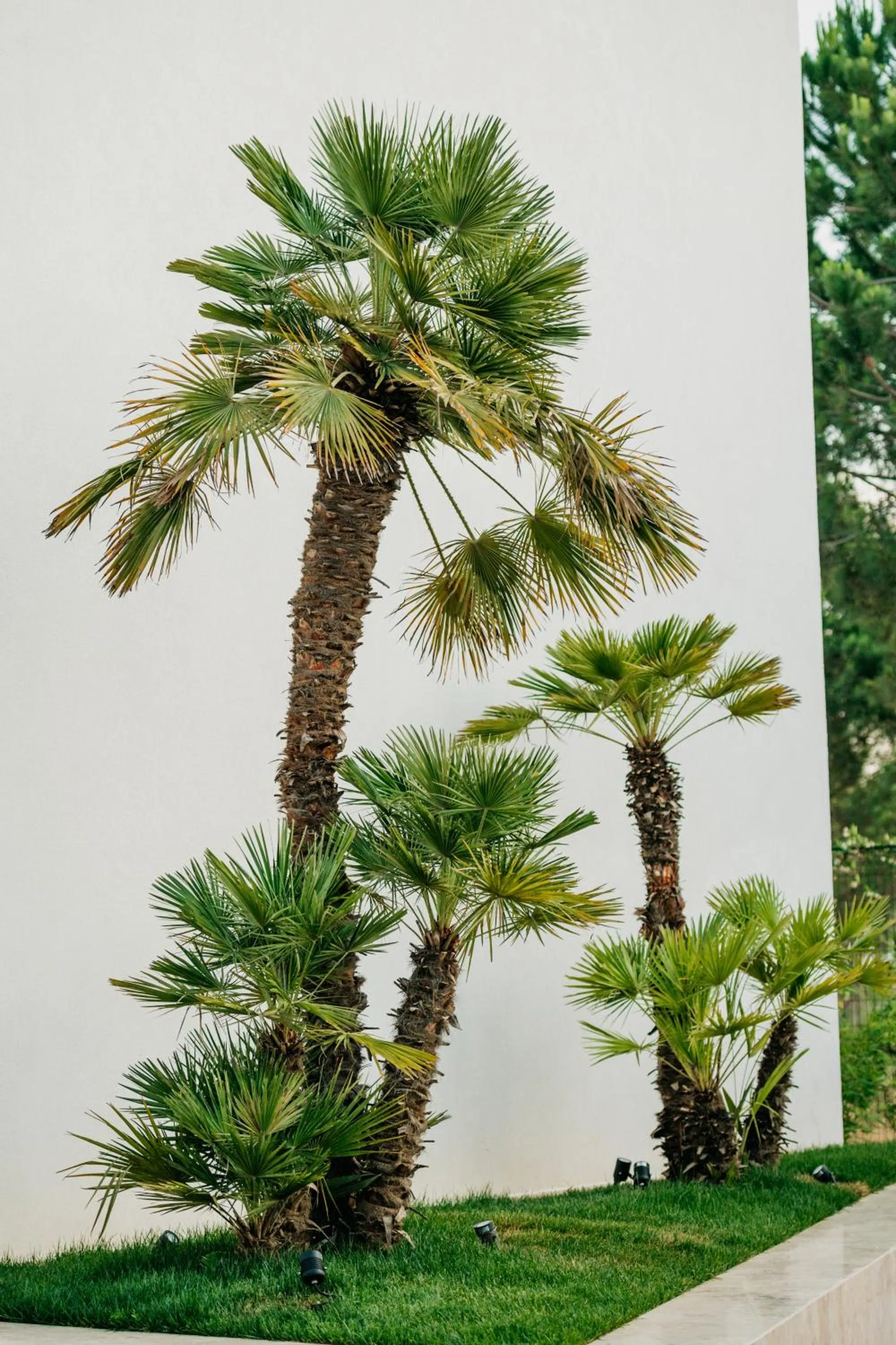 Elite Bay Hotel Lalez Durres