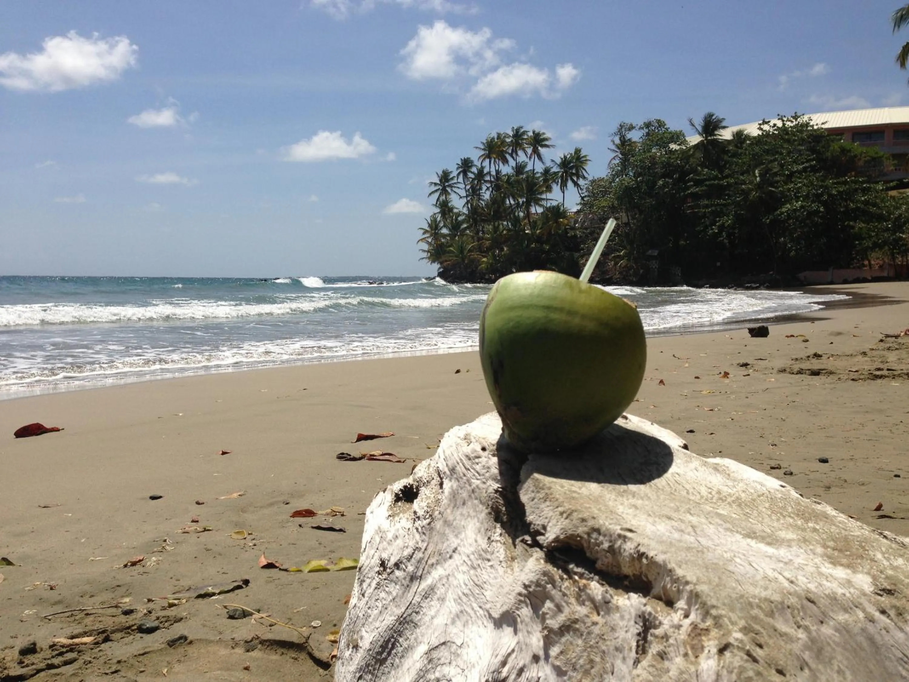 Day in Blue Haven Hotel - Bacolet Bay - Tobago