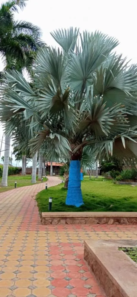 KRISHNA HERITAGE RESORT