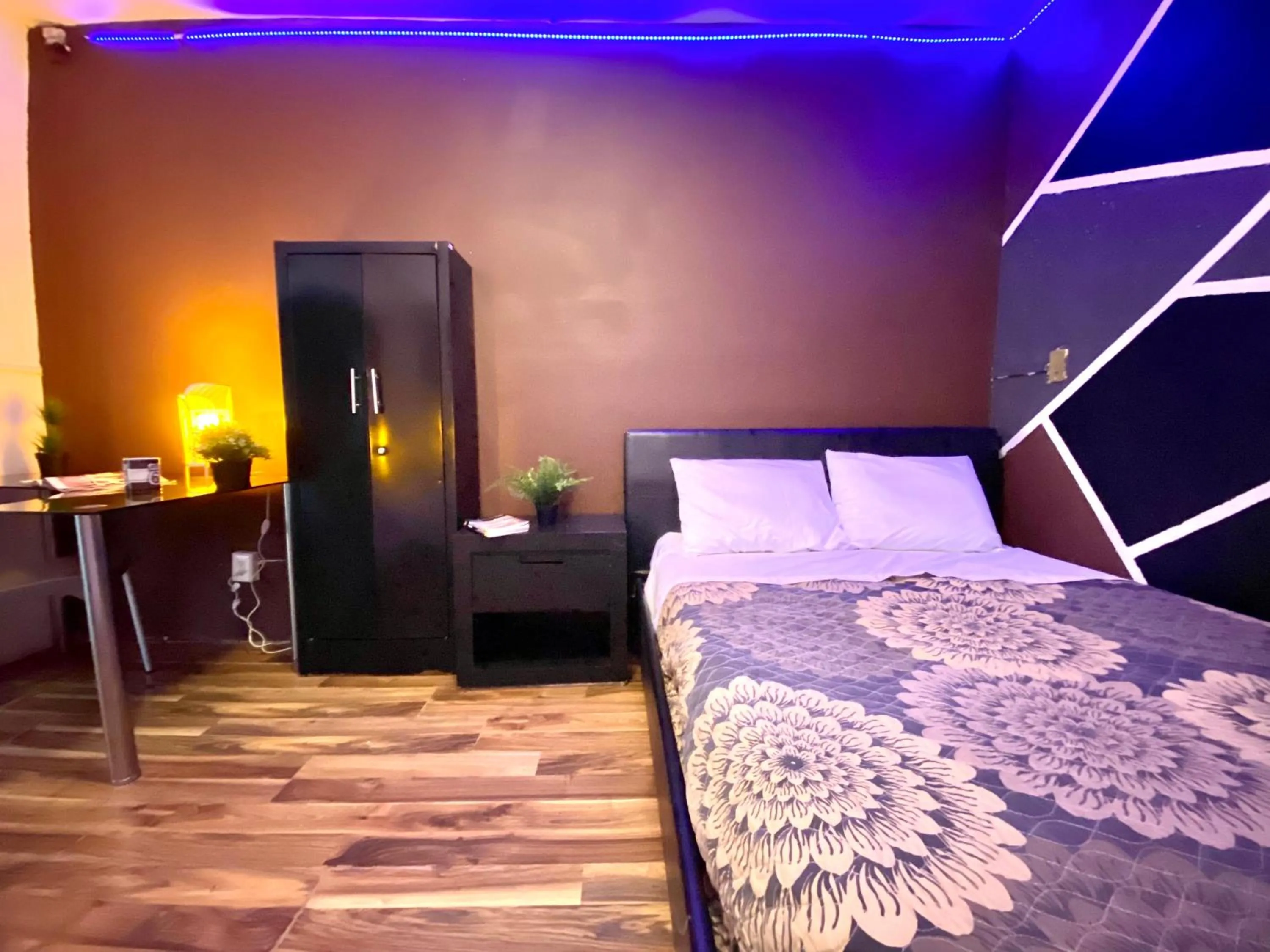 Photo of the whole room in ROOMIES HOSTEL Condesa