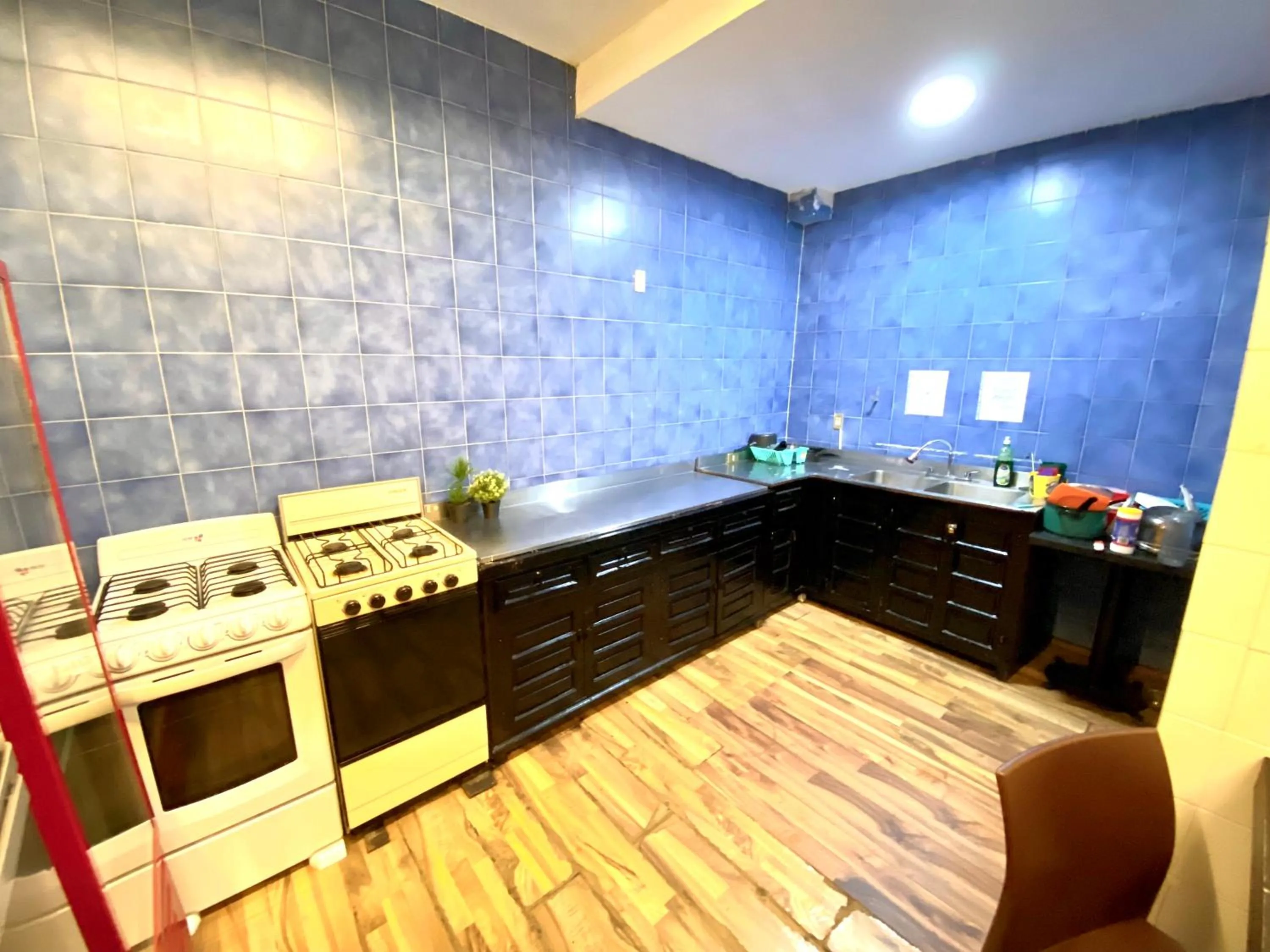 Communal kitchen in ROOMIES HOSTEL Condesa